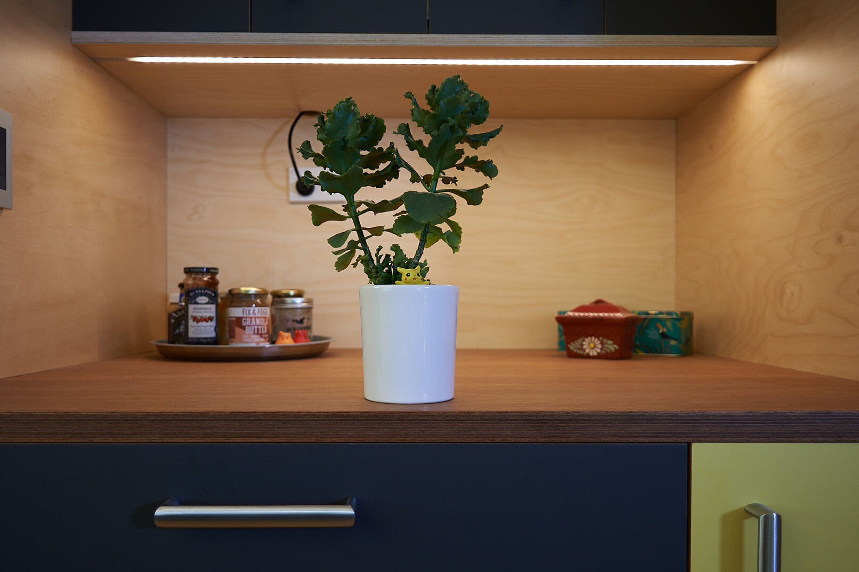 Porirua kitchen upgrade