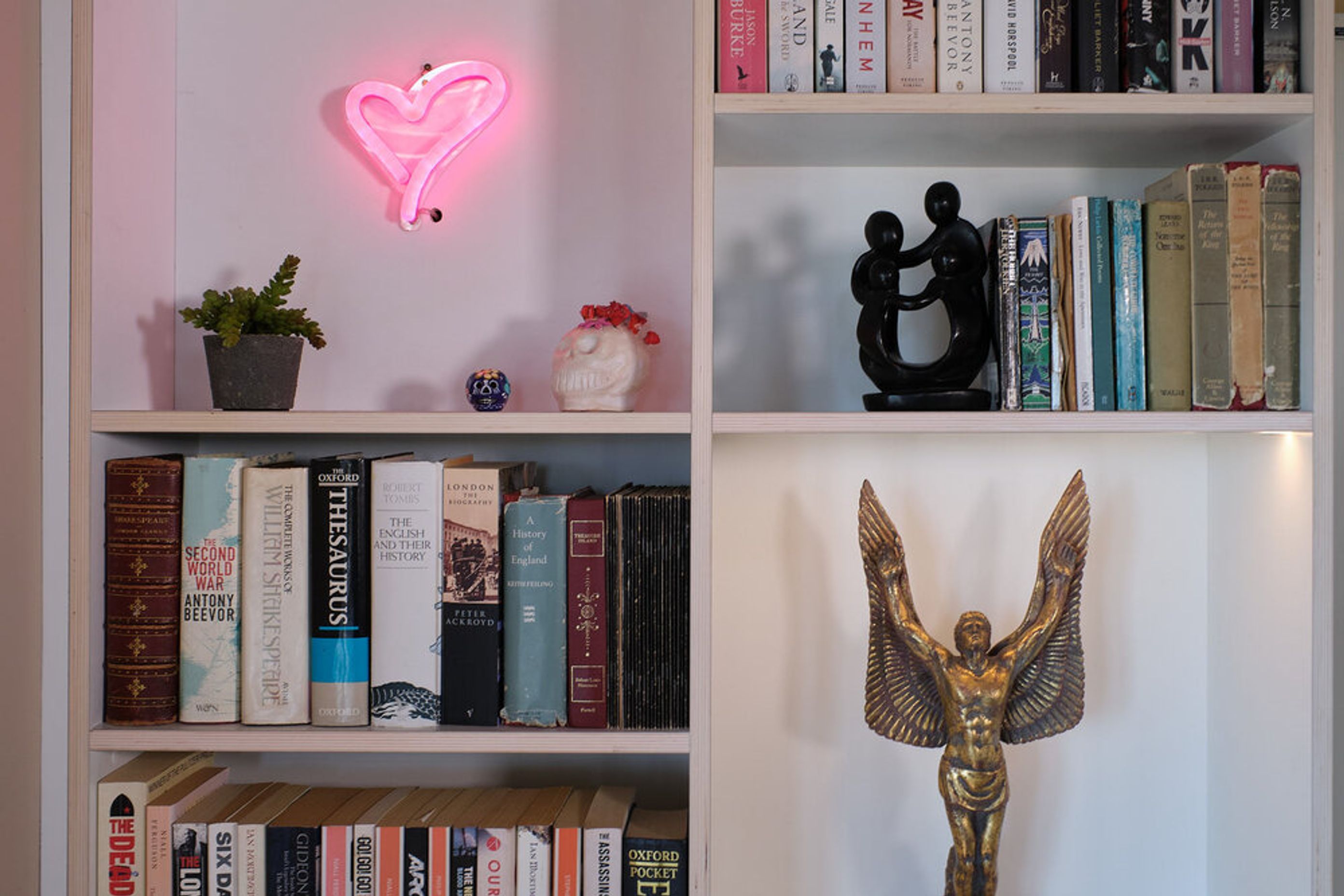 Bookcase in Wellington with integrated LED lighting