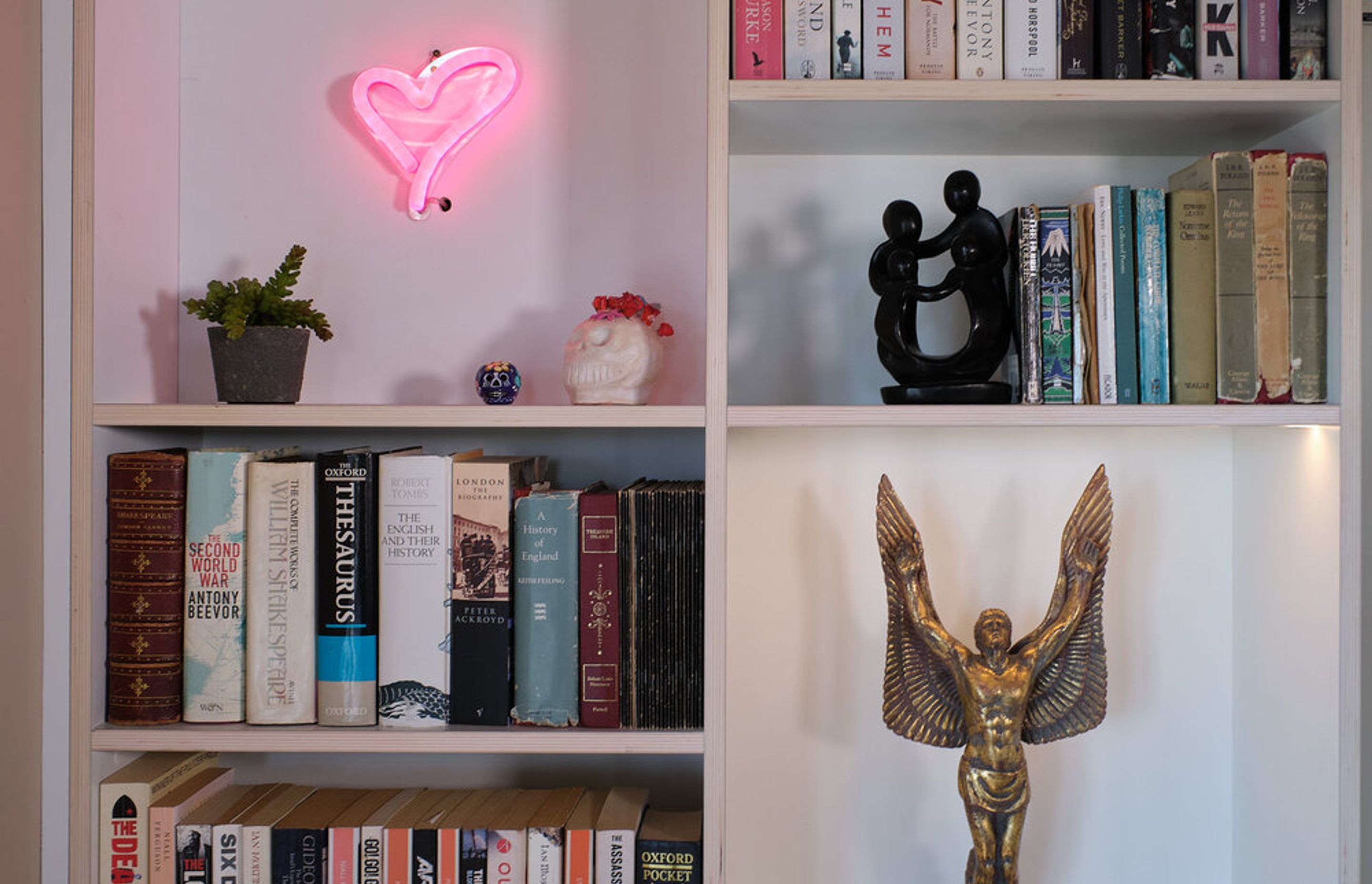 Bookcase in Wellington with integrated LED lighting
