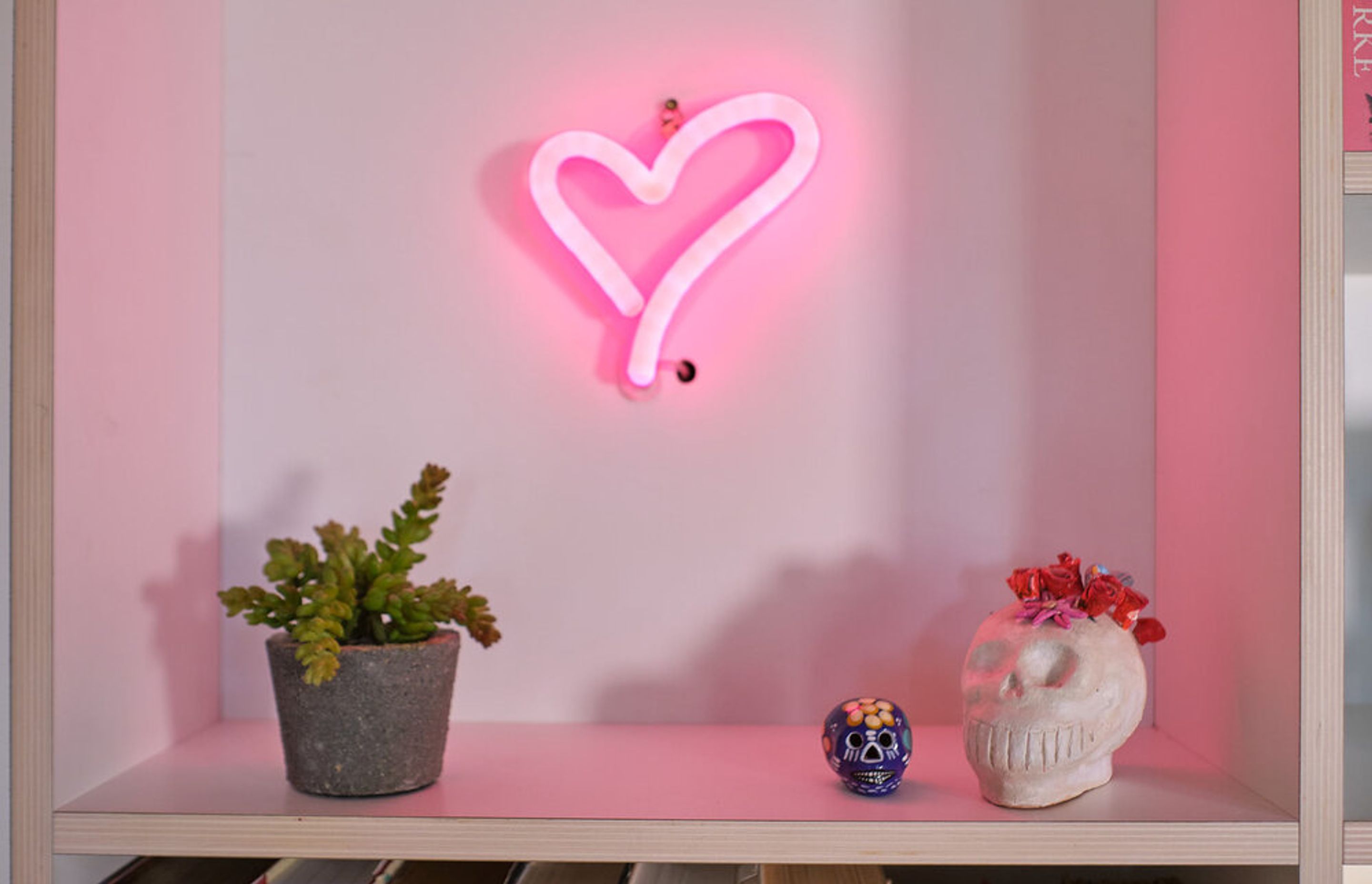 Bookcase in Wellington with integrated LED lighting