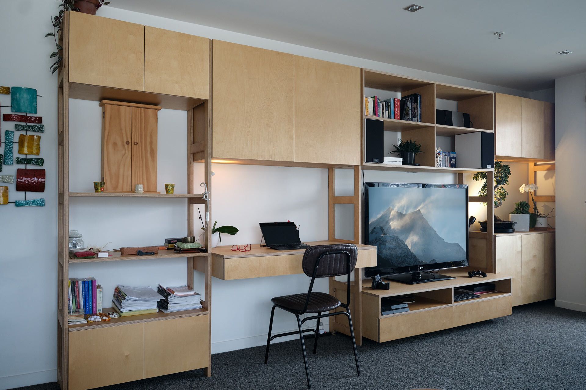 Bespoke book case Wellington