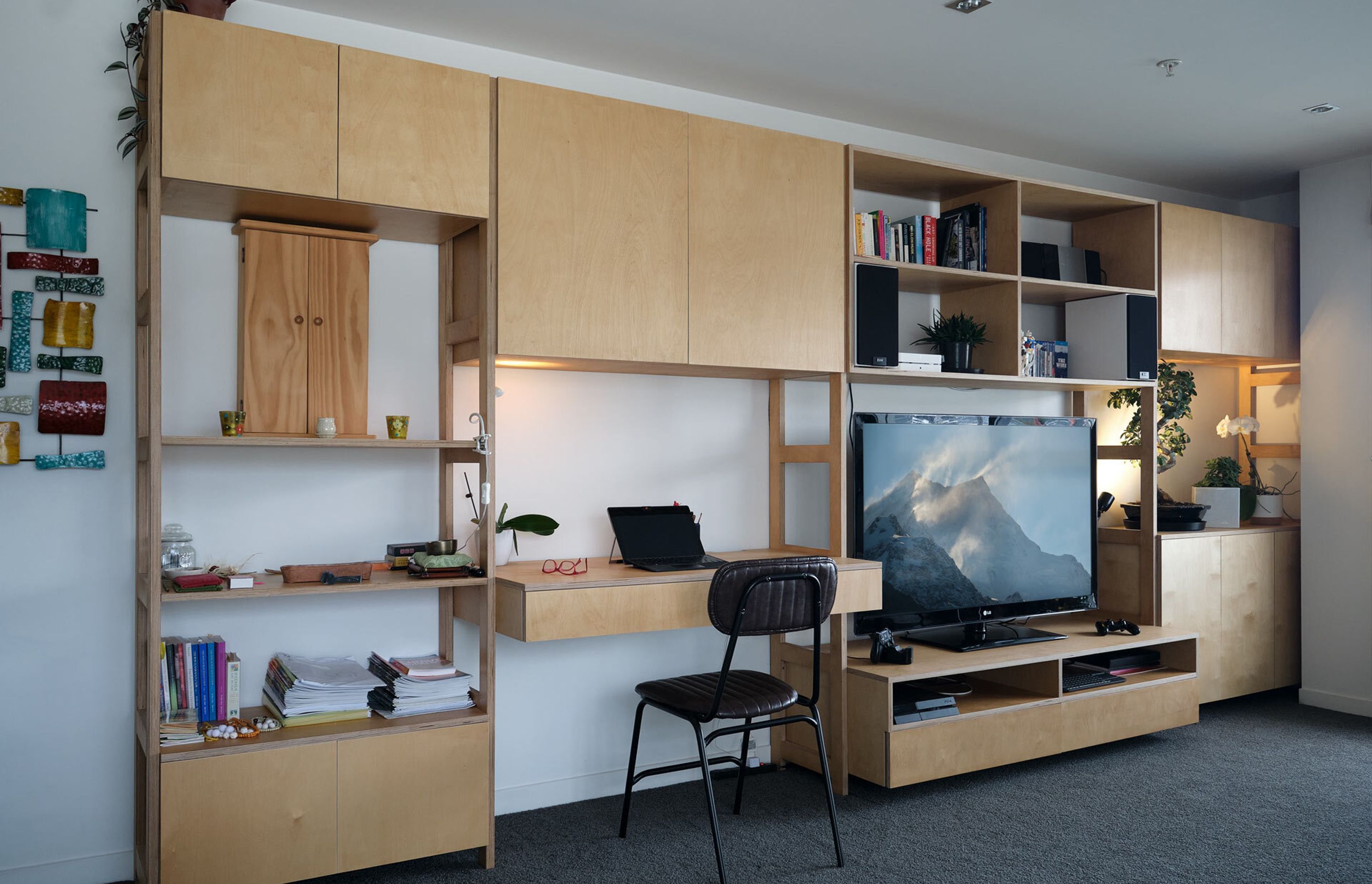 Bespoke book case Wellington