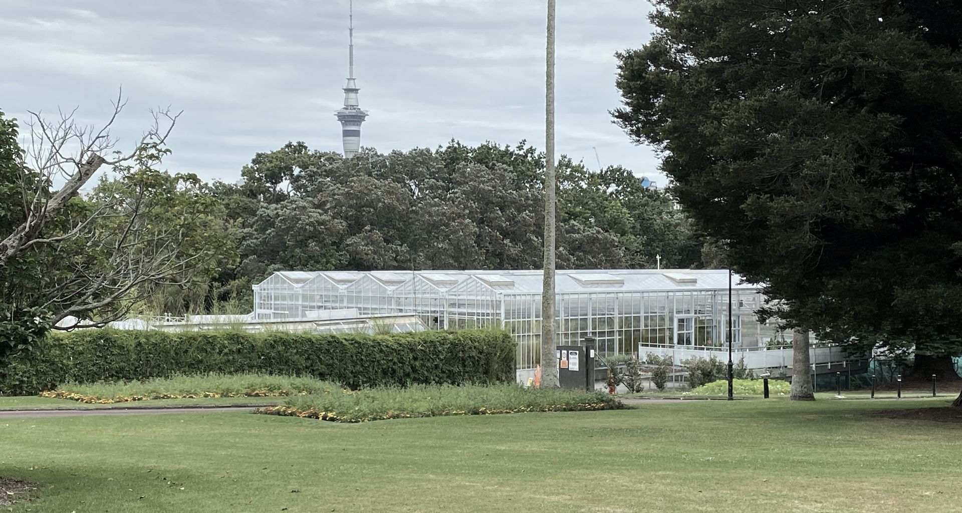 Domain Glasshouses banner