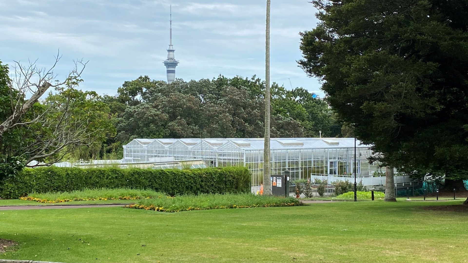 Domain Glasshouses banner