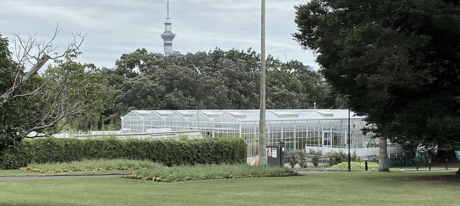 Domain Glasshouses banner