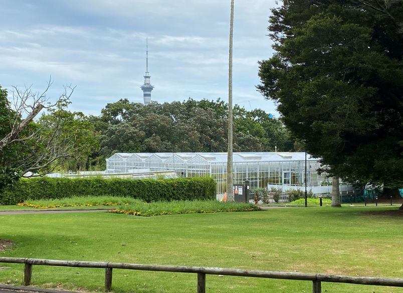 Domain Glasshouses