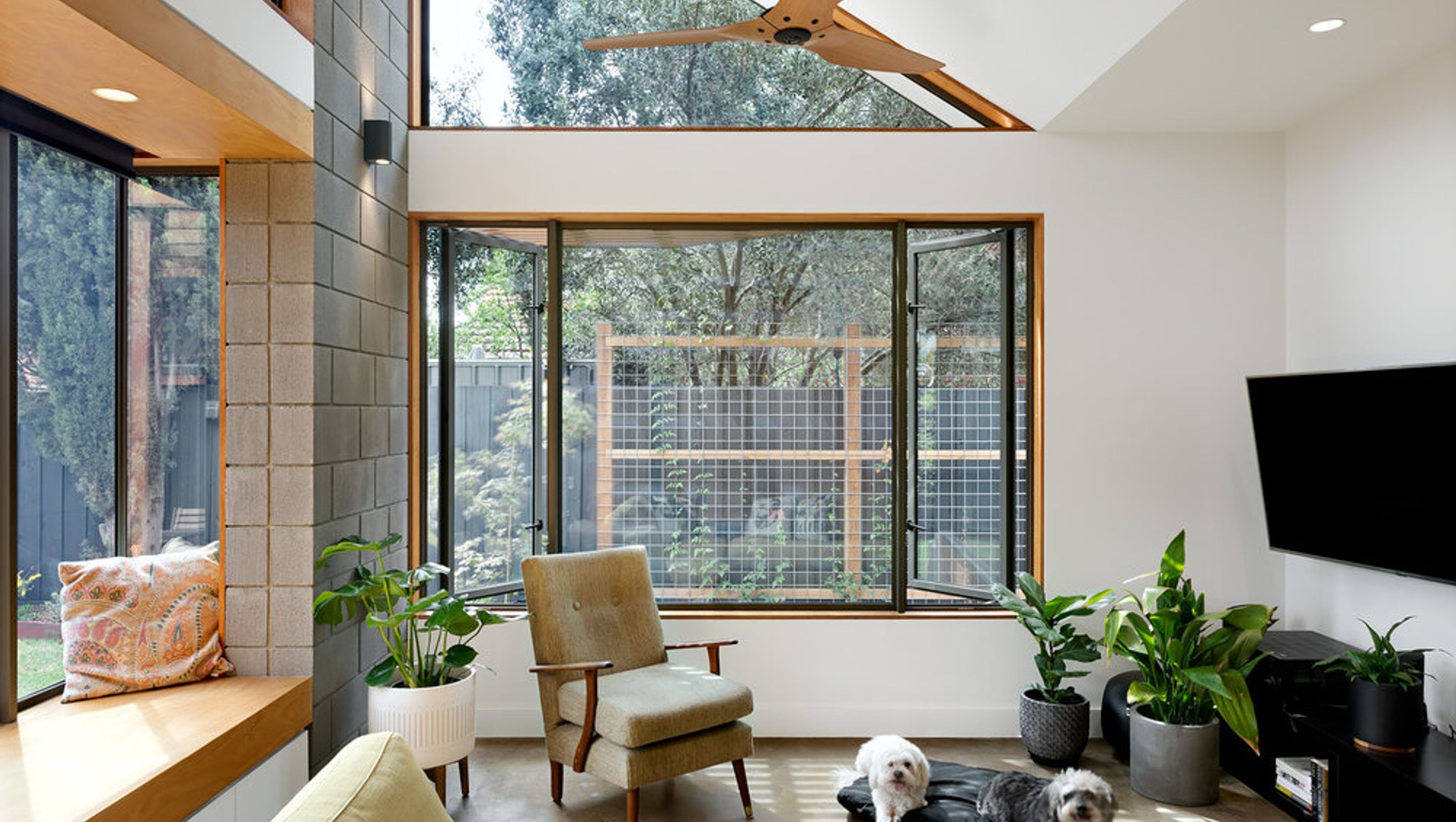 The Snug