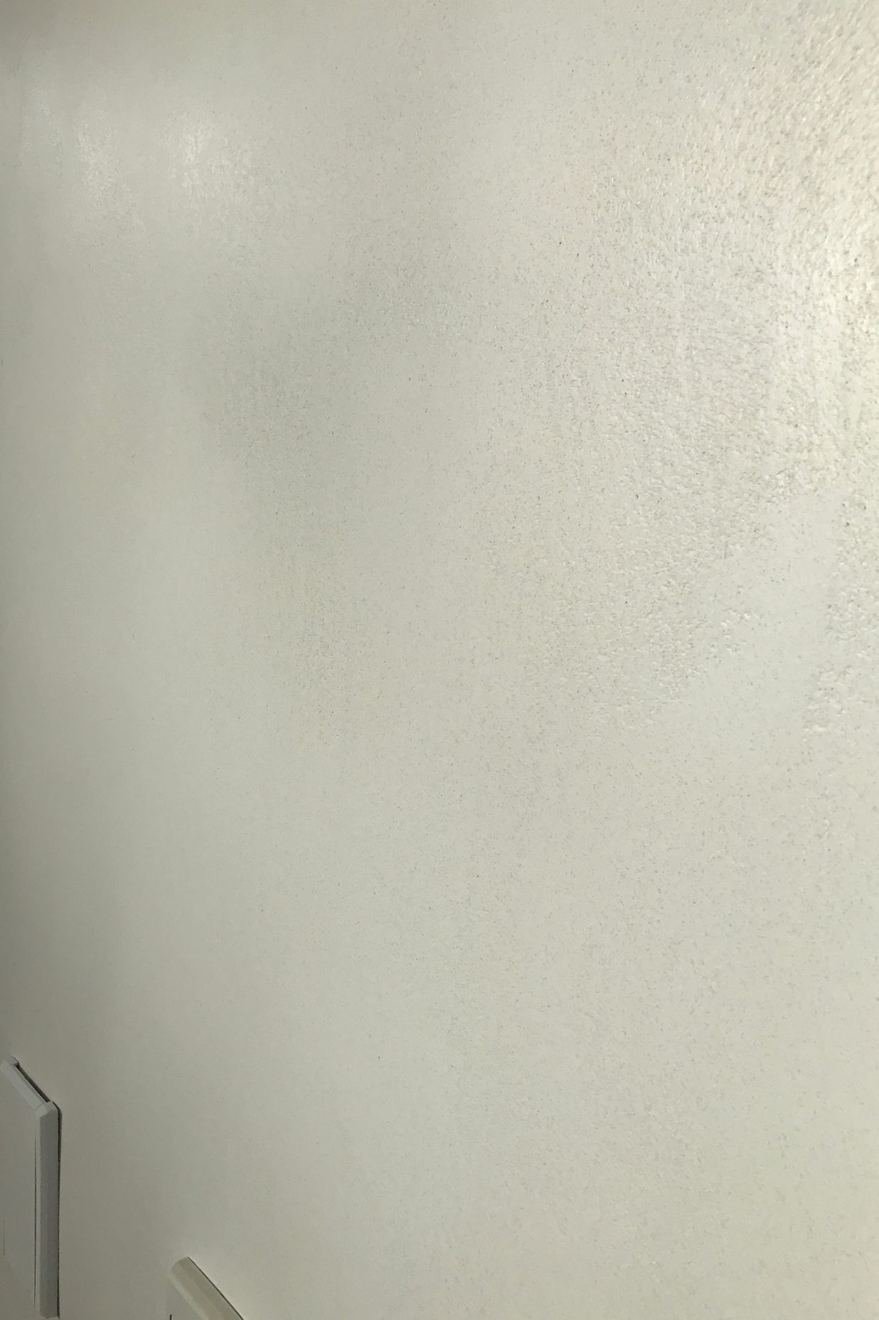 Venetian plaster Feature wall