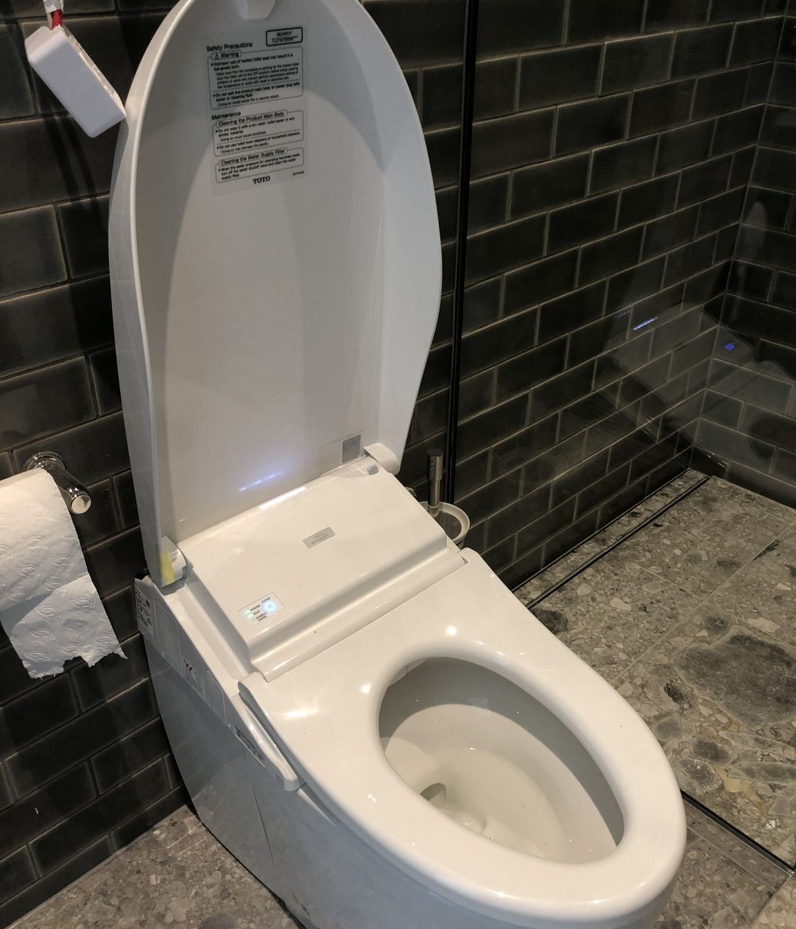 Fancy Toilet