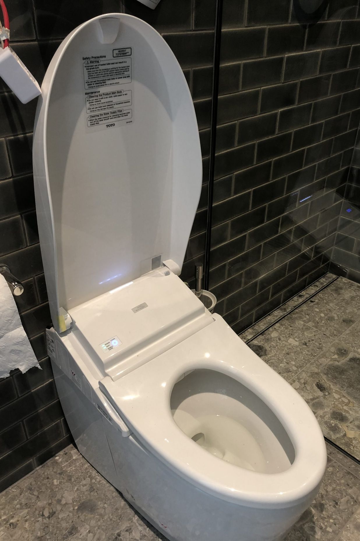 Fancy Toilet
