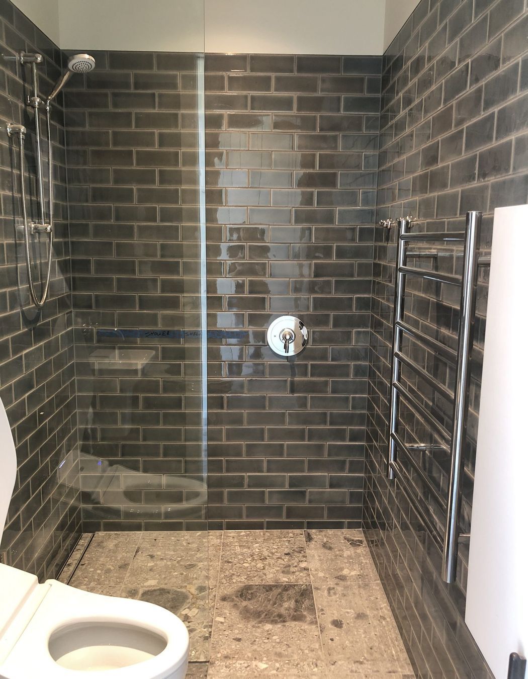 Fancy Toilet