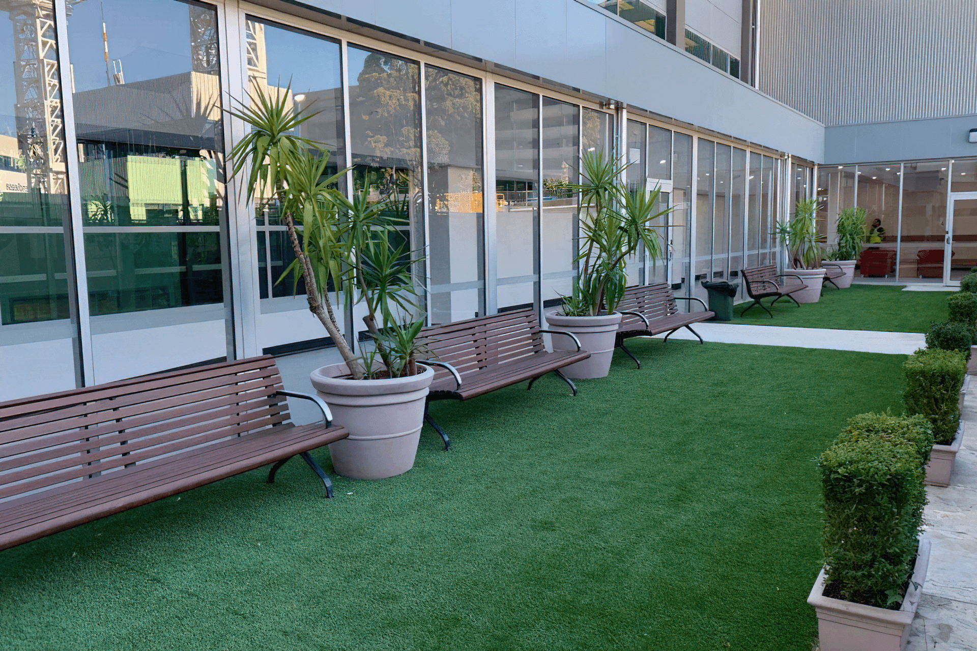 Royal Dental Hospital - Entry Foyer And Link Corridor