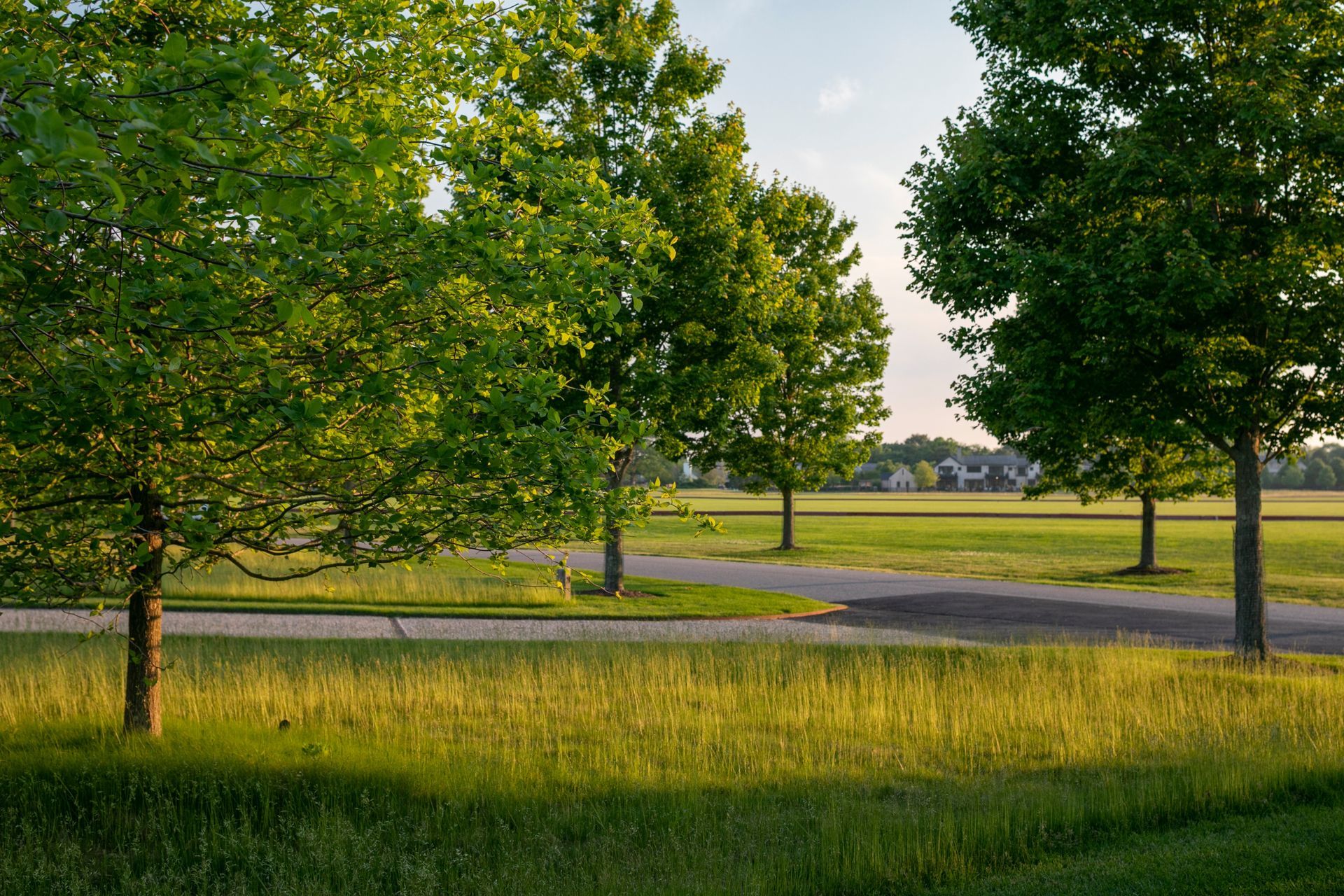 PeconicLawnCare2022Turkewitz008-ap-compressed.jpg