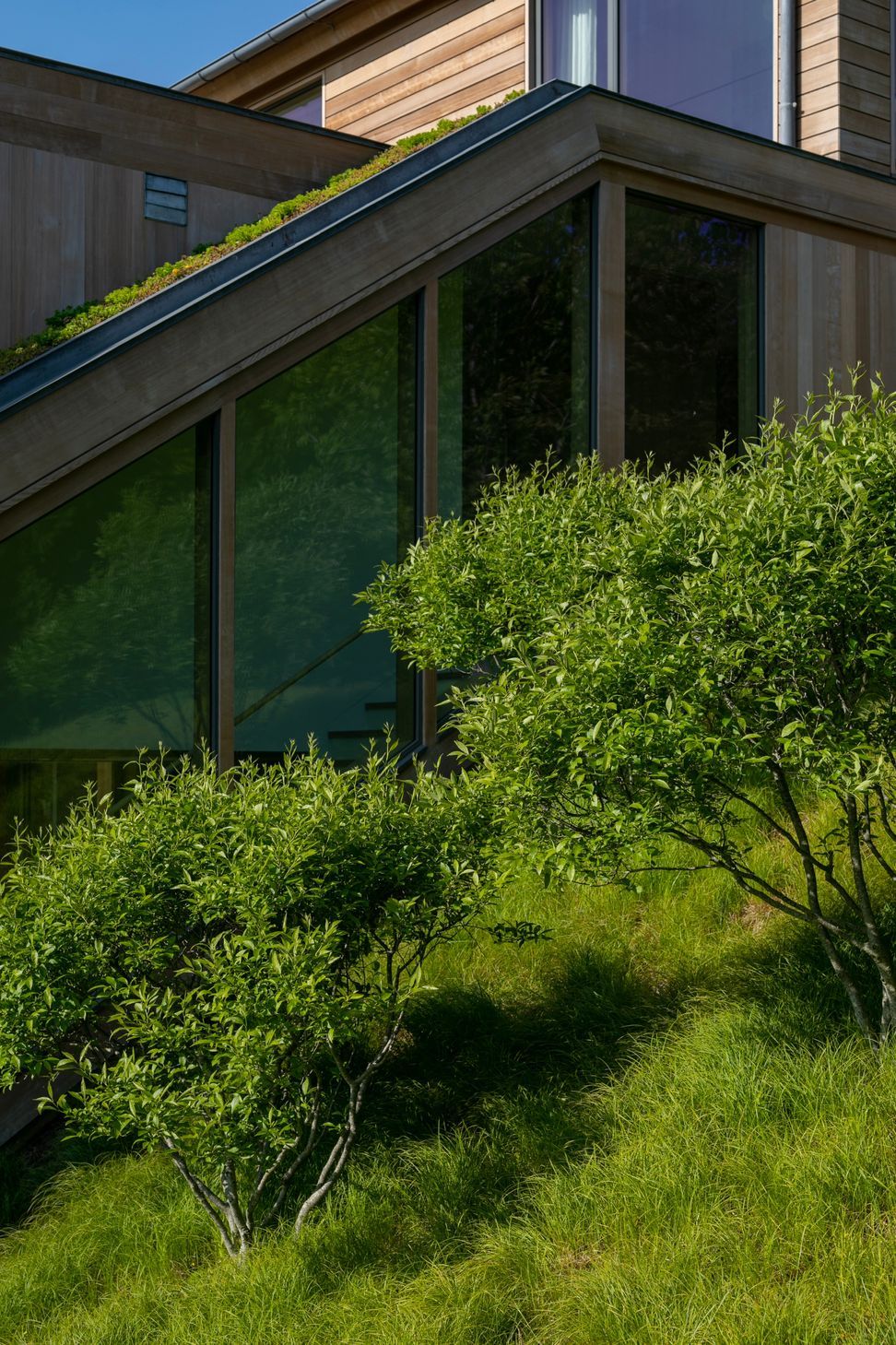 PeconicLawnCare20230530034-ap-compressed.jpg