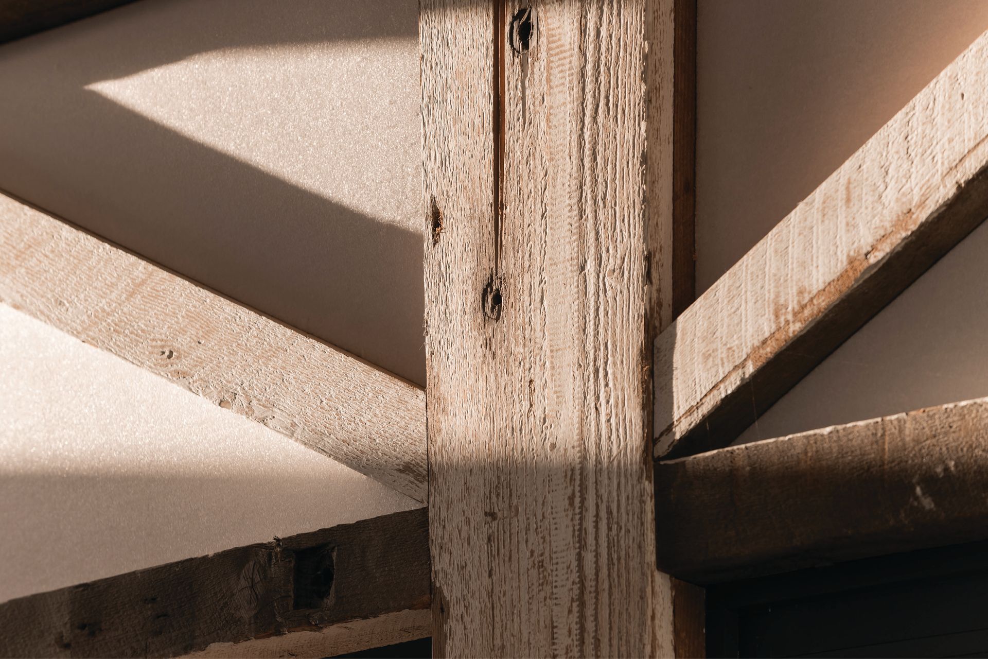Shed-1LonestarInteriorSTR5530.jpg