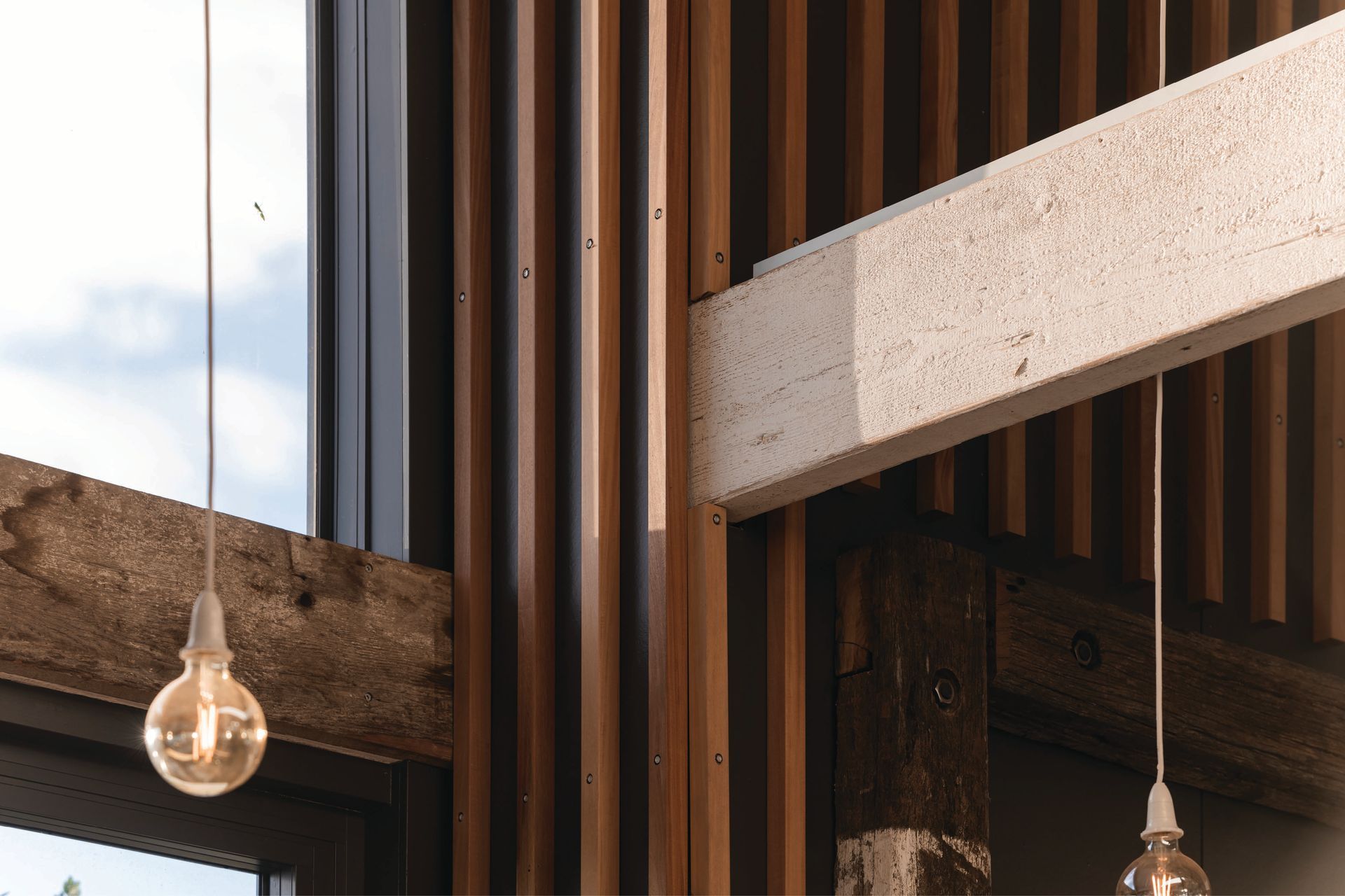 Shed-1LonestarInteriorSTR5533-v2.jpg