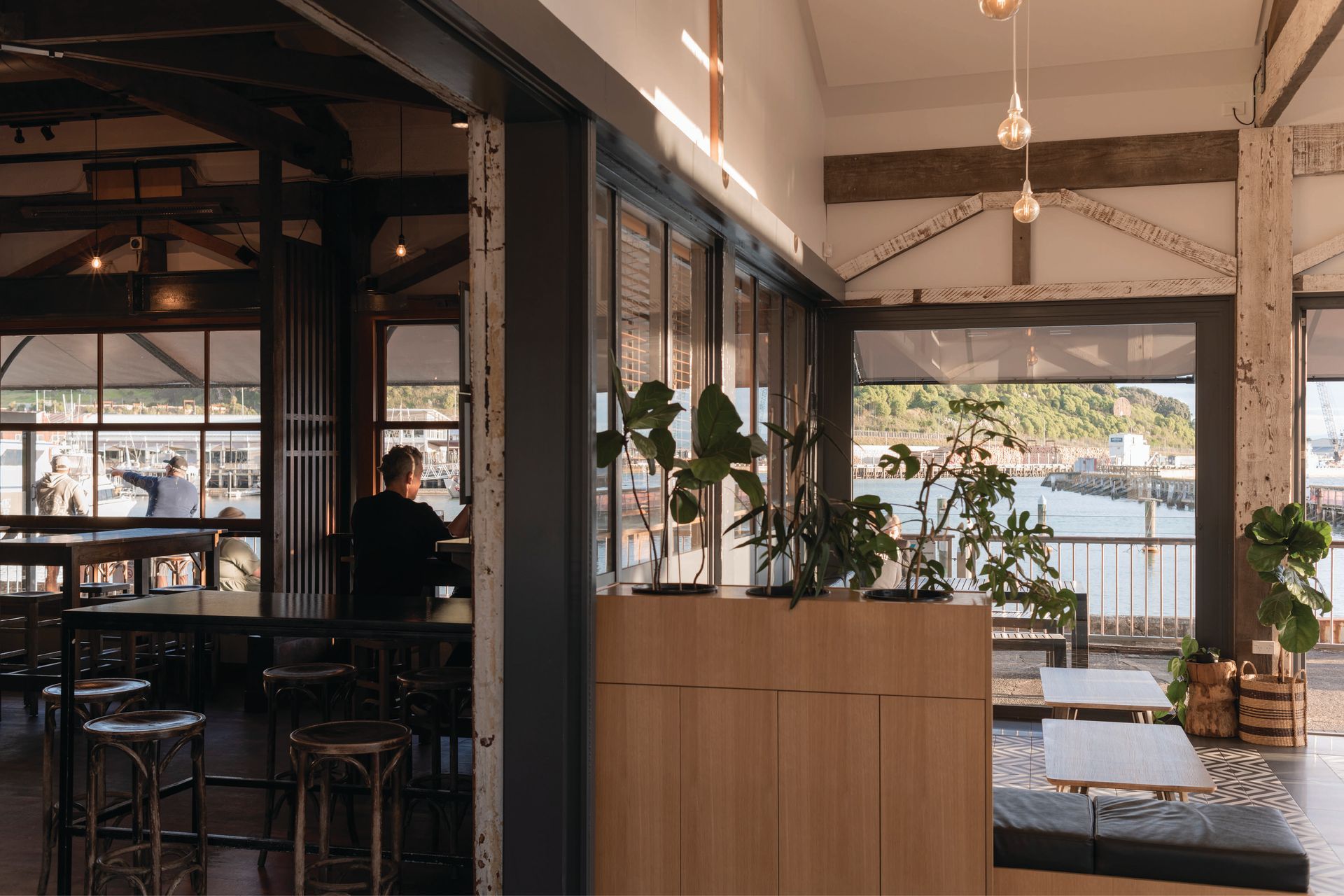Shed-1LonestarInteriorSTR5562.jpg