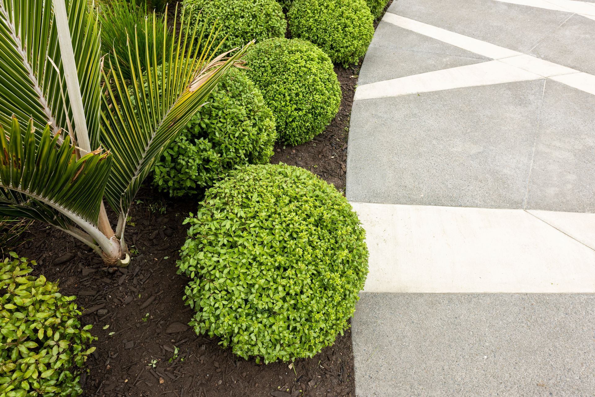 St Ignatius School - St Heliers