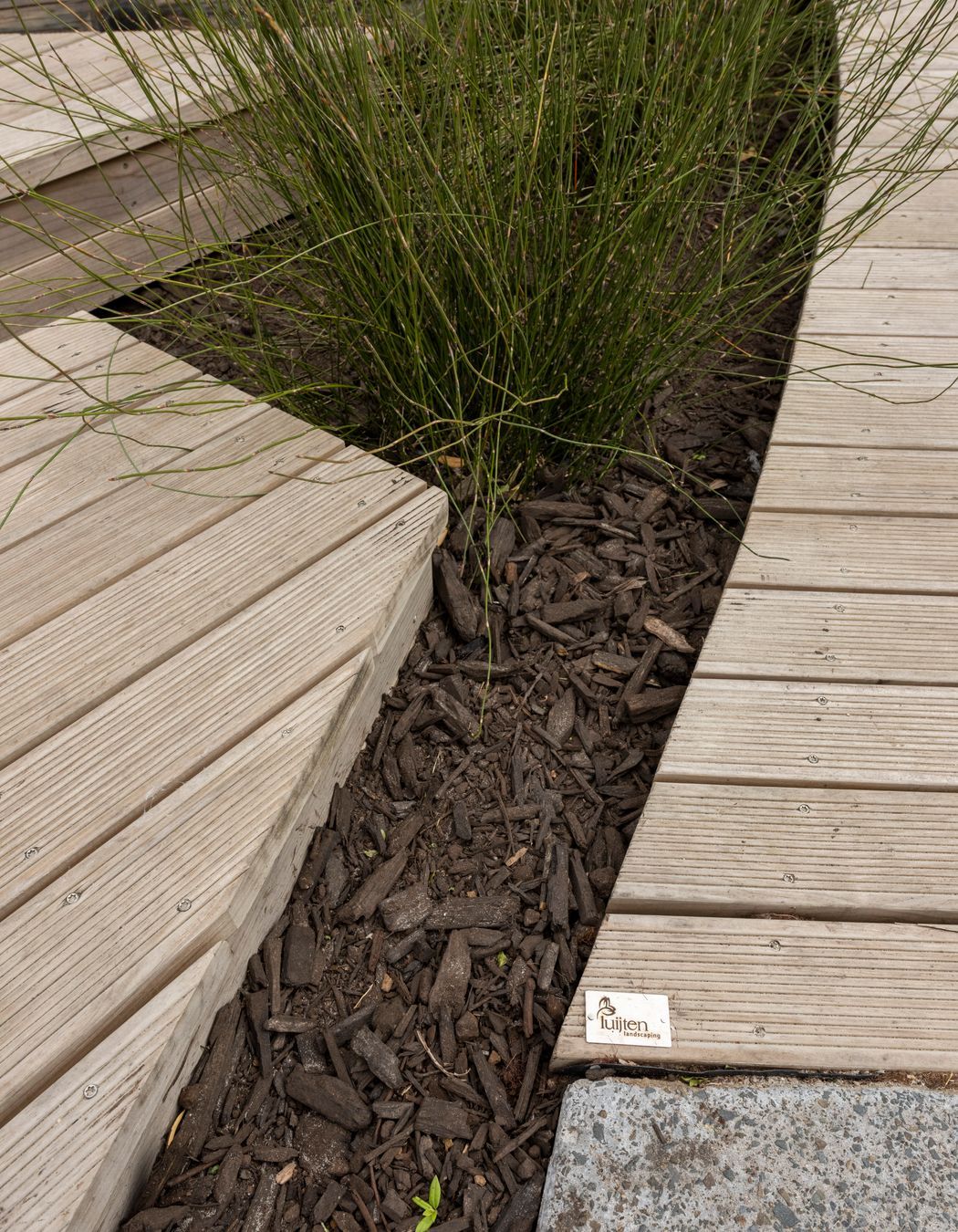 St Ignatius School - St Heliers