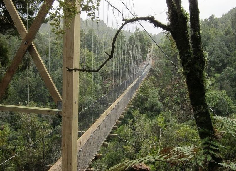 The Timber Trail