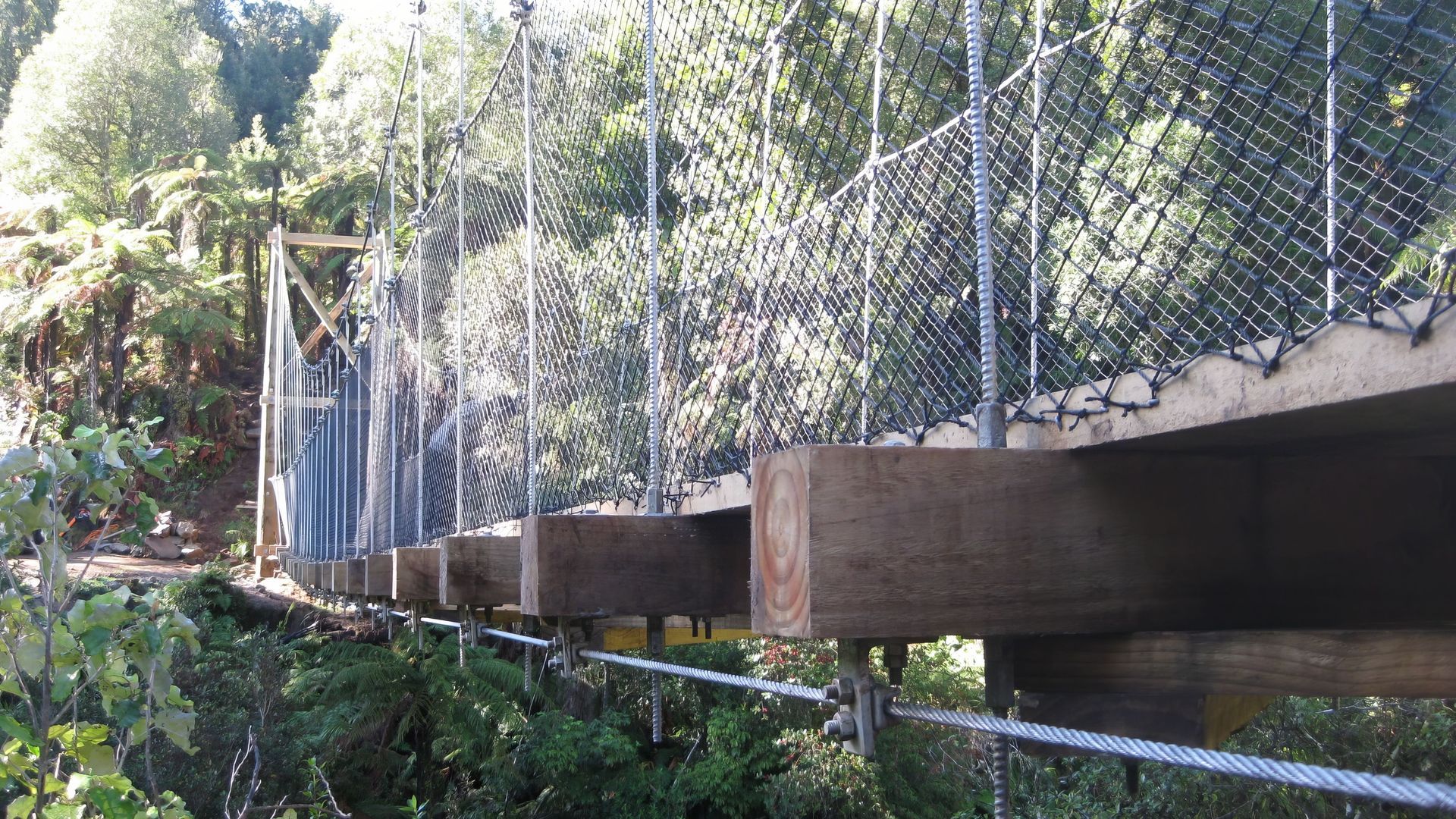 The Timber Trail banner