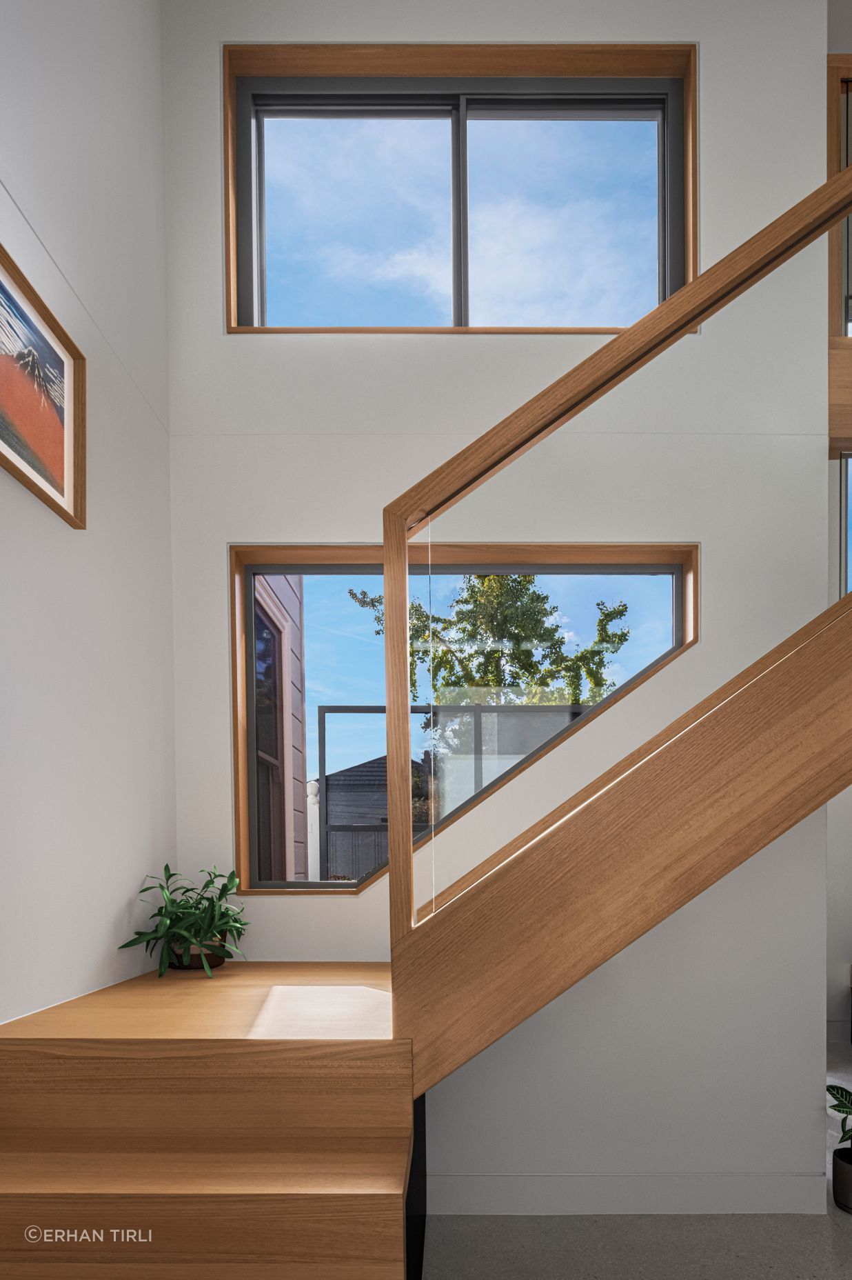 Well Tempered House