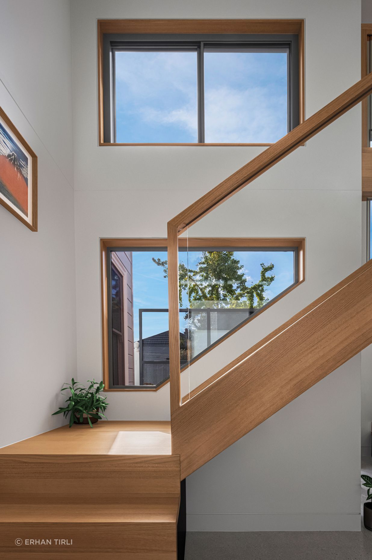 Well Tempered House