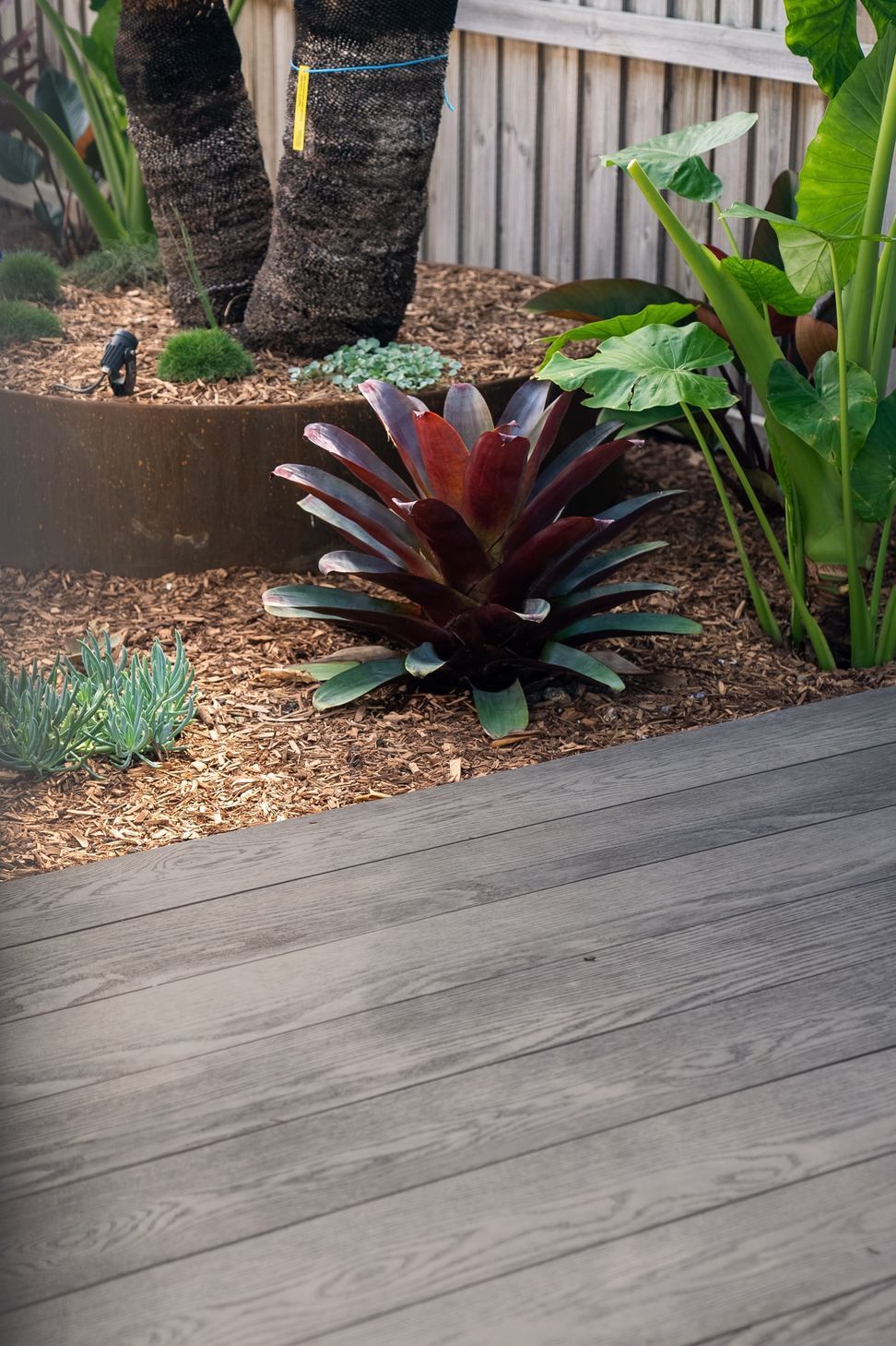 ebony-grey-3-2.jpg