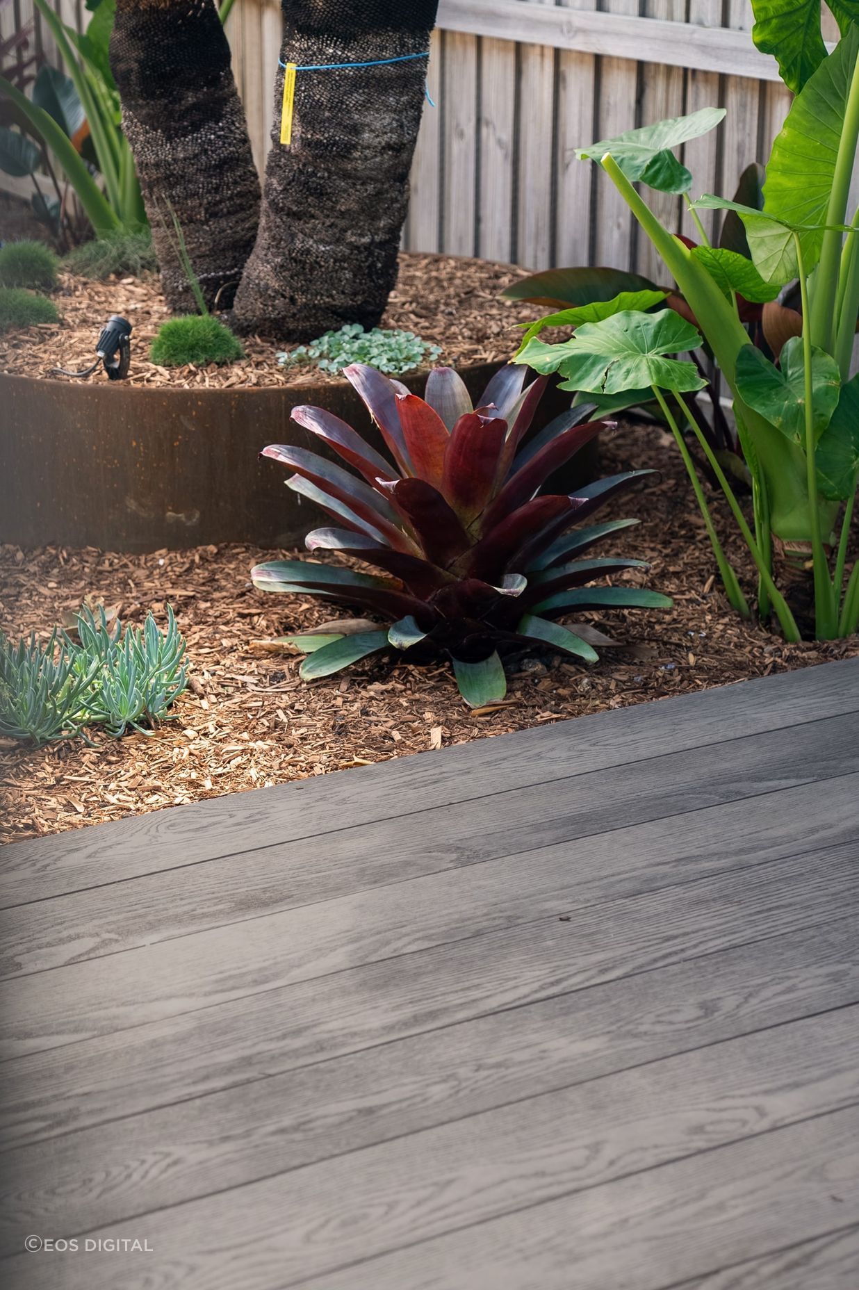 ebony-grey-3-2.jpg