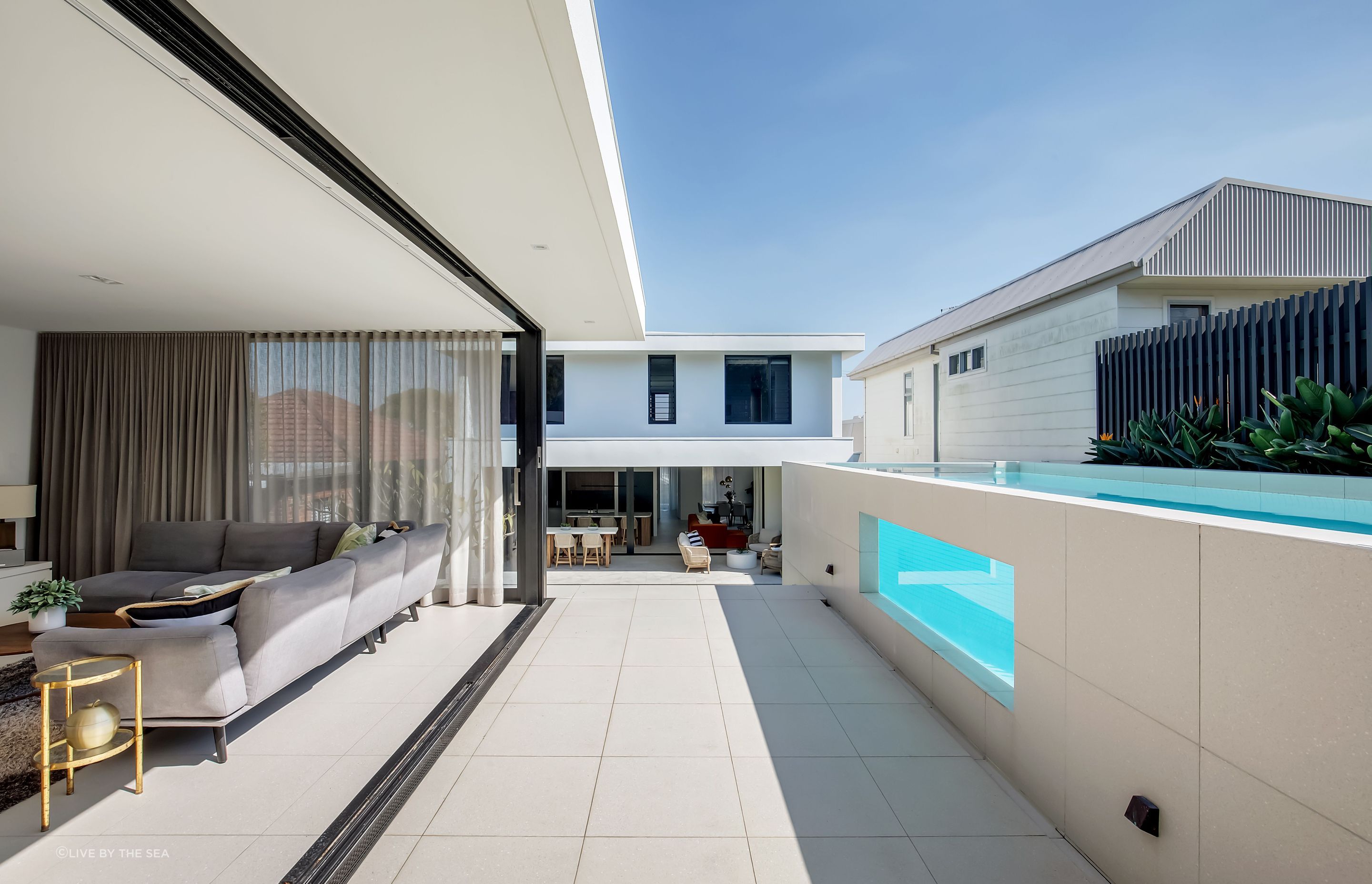 freshwatercollaroy001.jpg