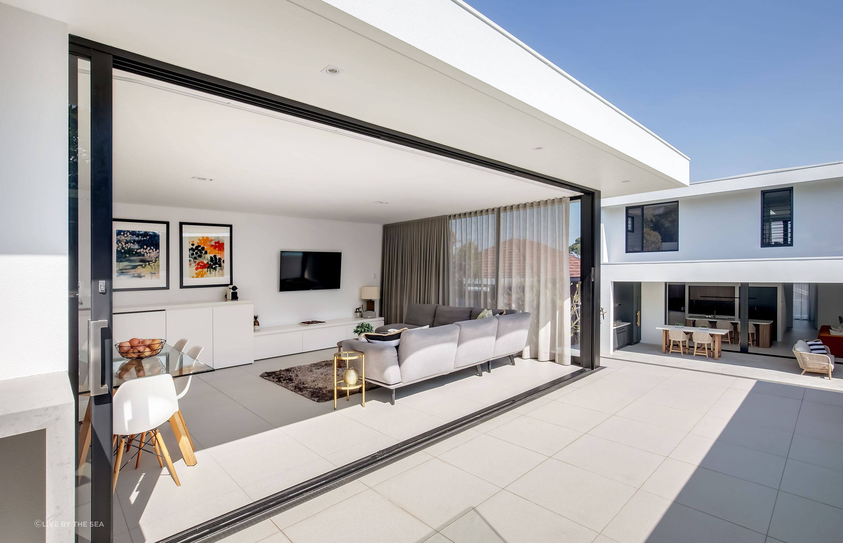 freshwatercollaroy002.jpg