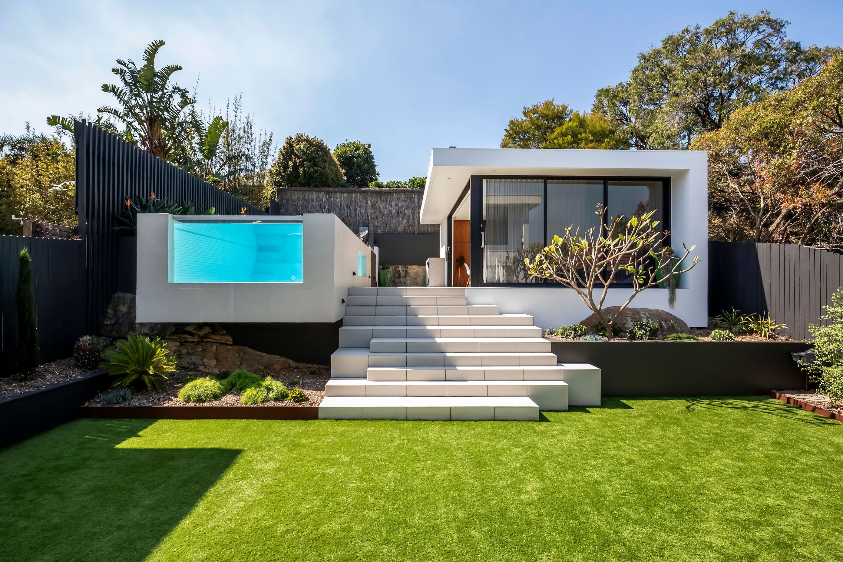 freshwatercollaroy007-v2.jpg