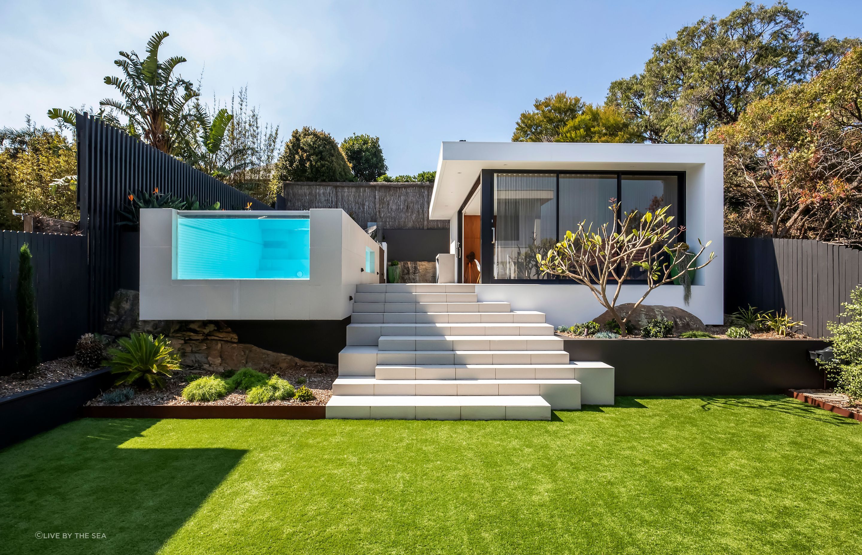 freshwatercollaroy007-v2.jpg