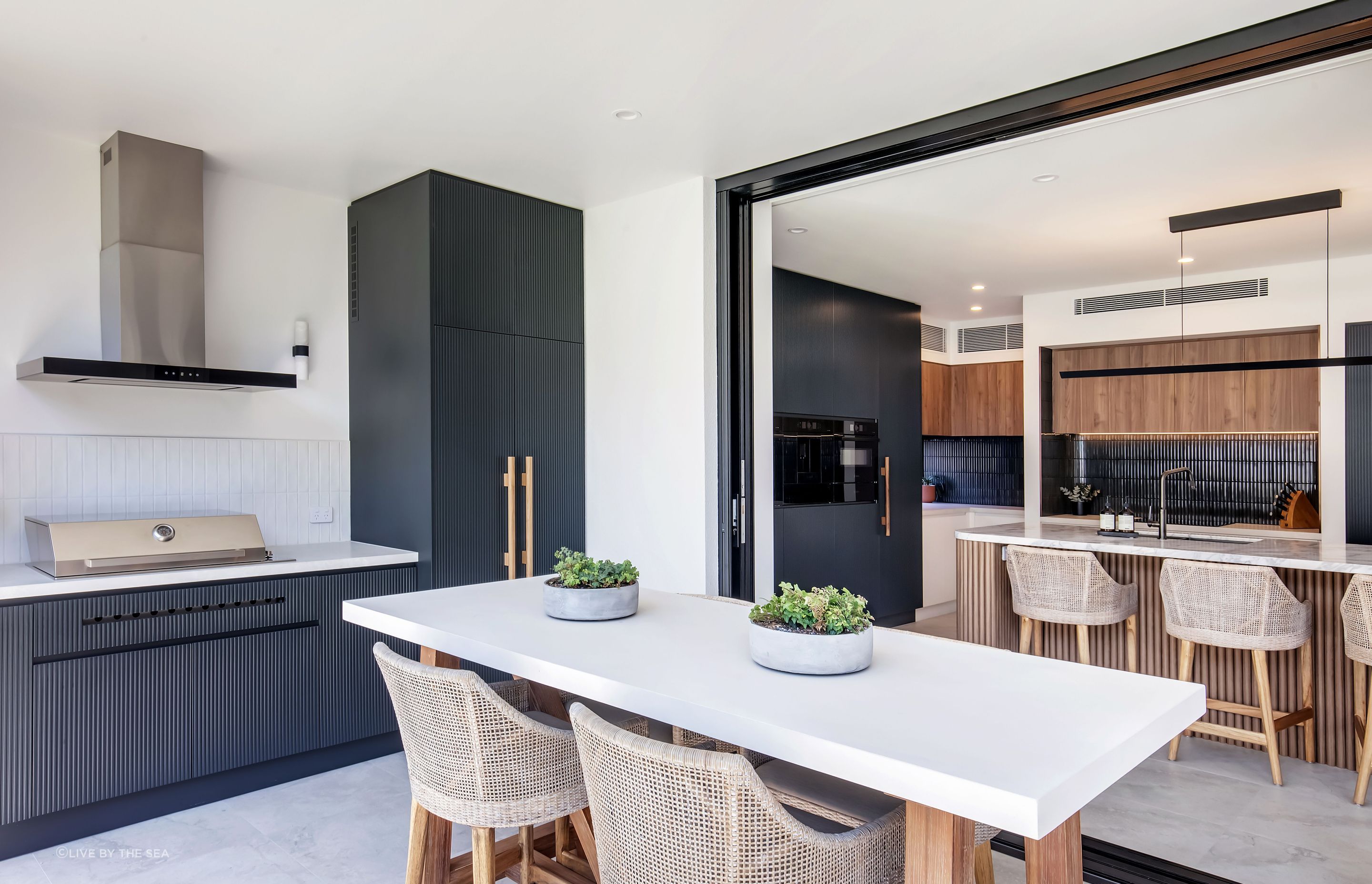 freshwatercollaroy013.jpg