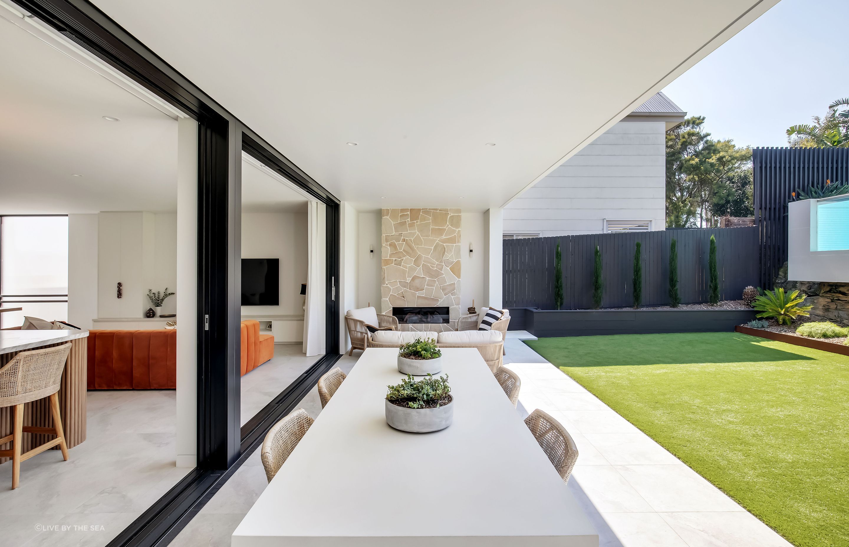 freshwatercollaroy014.jpg