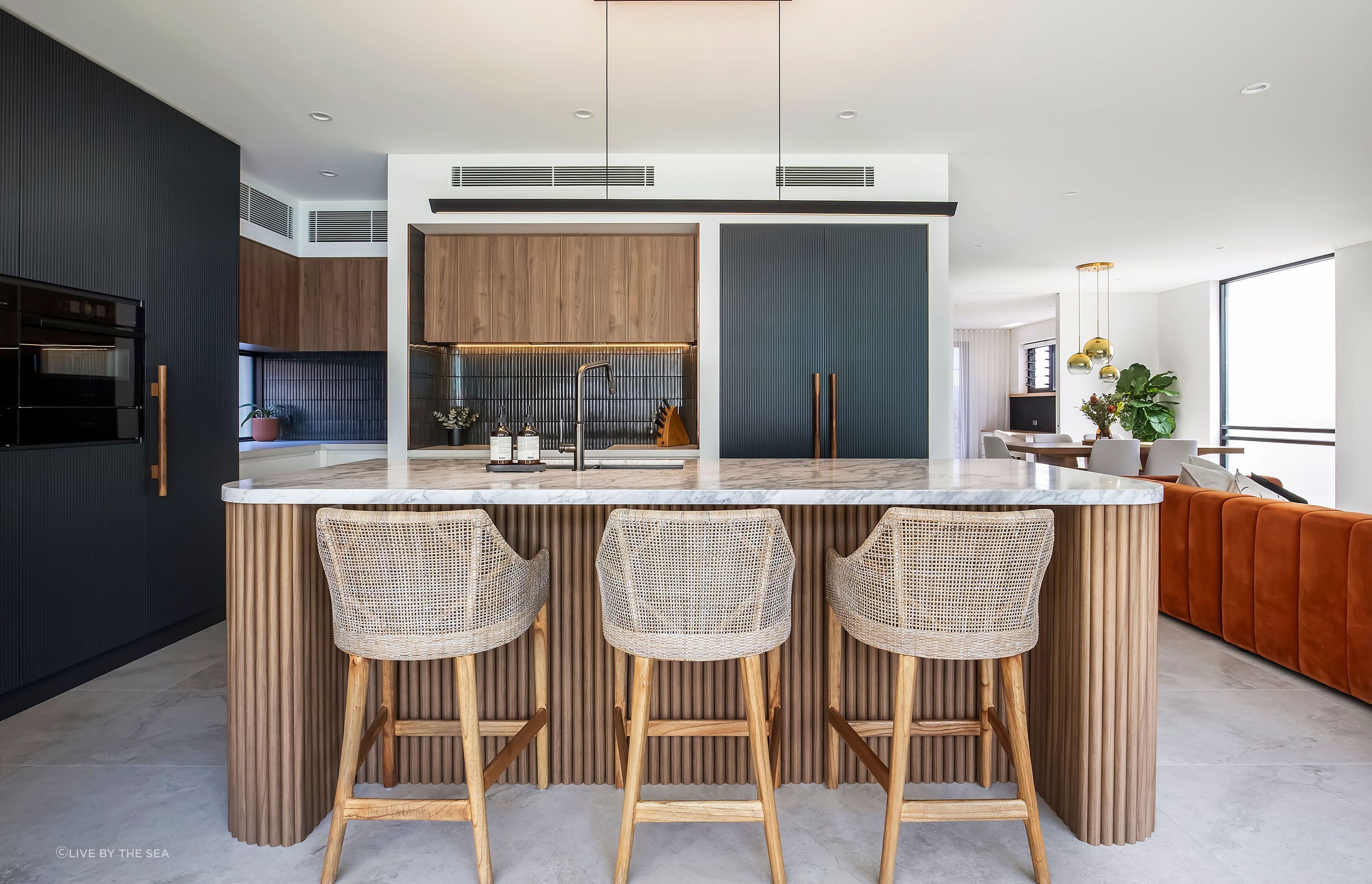 freshwatercollaroy015.jpg