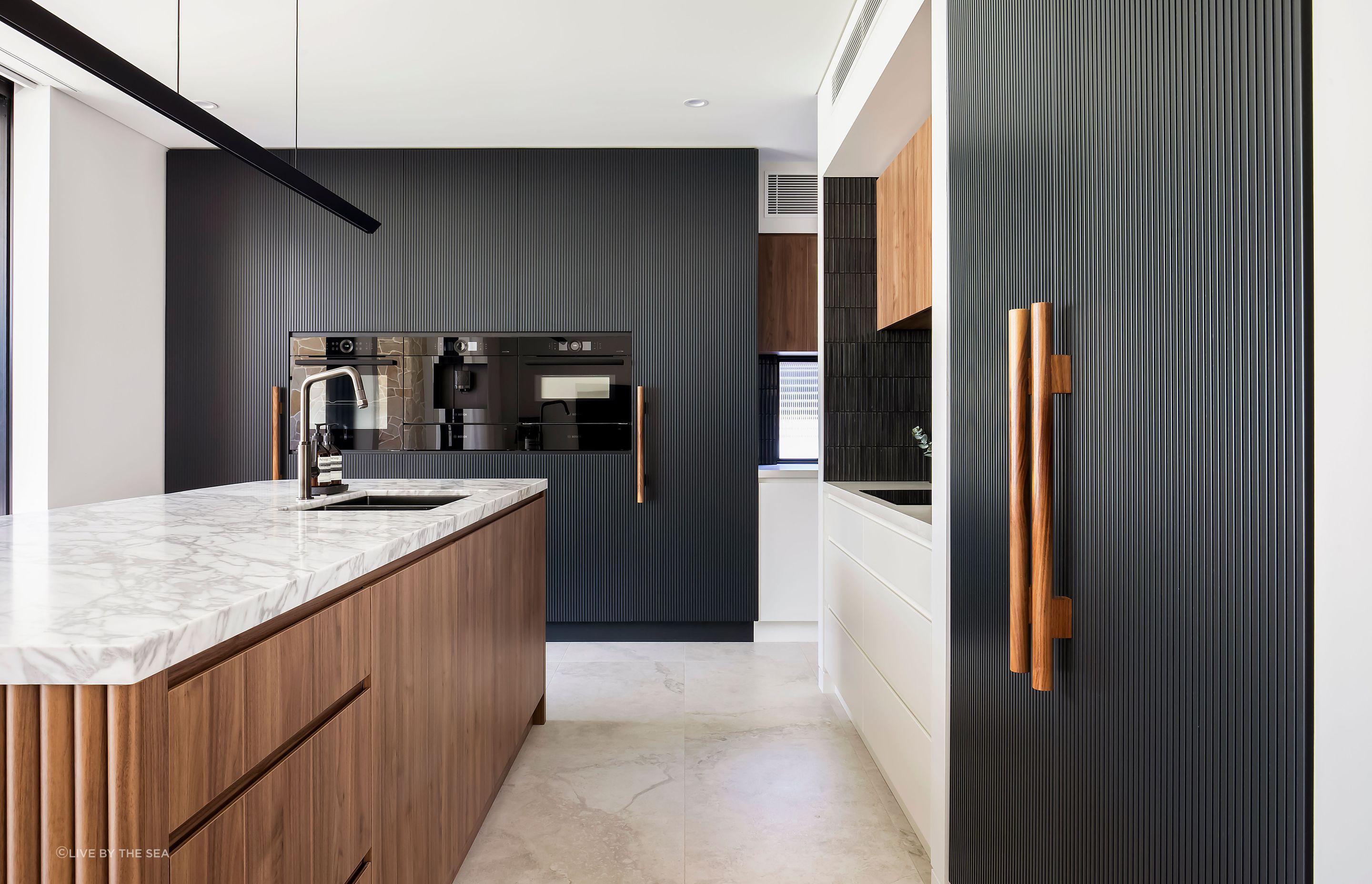 freshwatercollaroy019.jpg