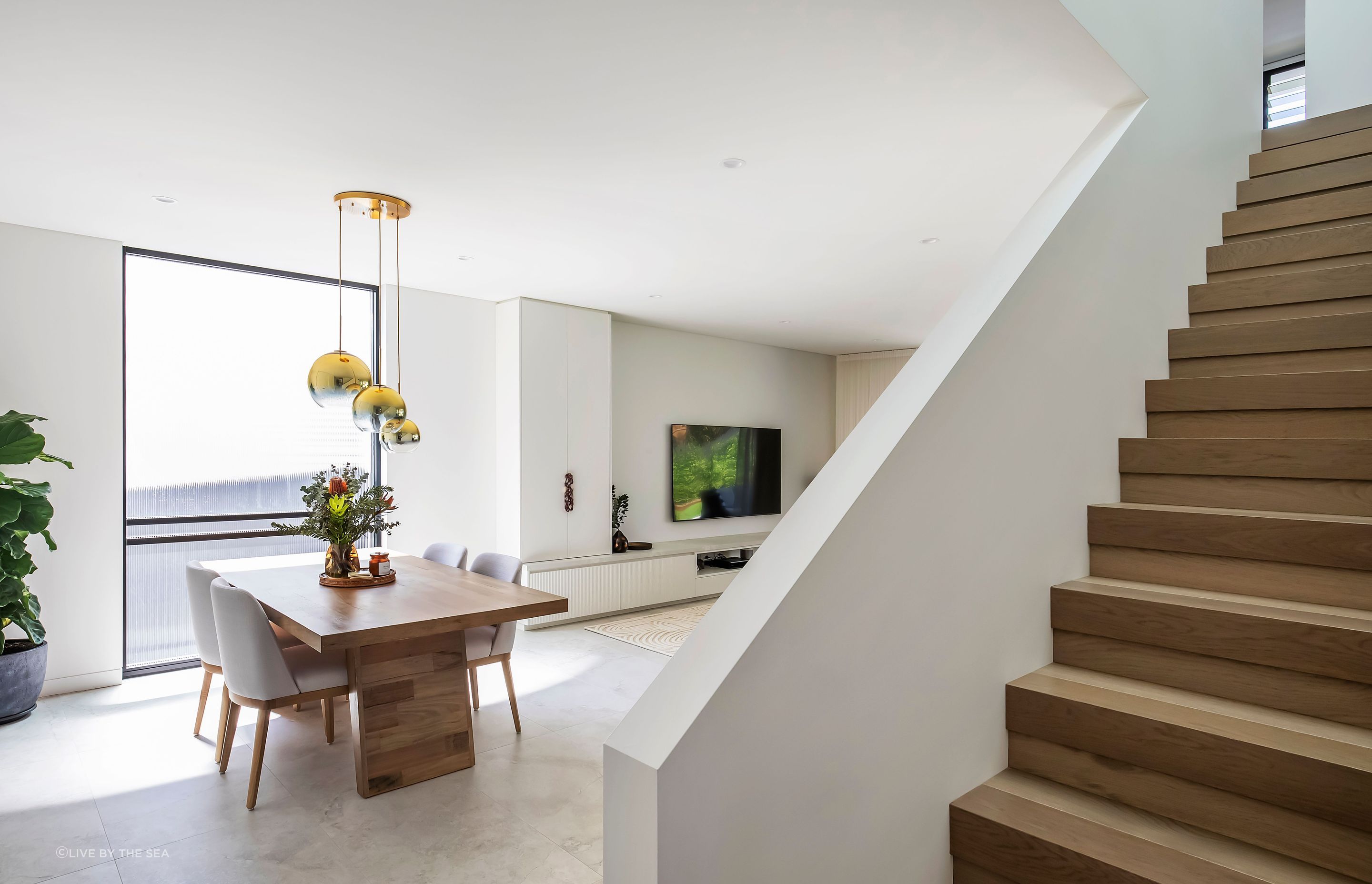 freshwatercollaroy034.jpg