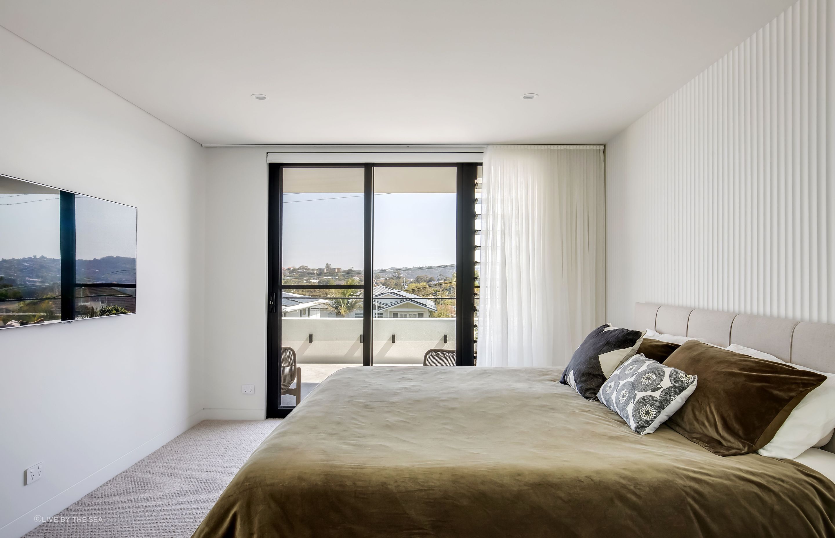 freshwatercollaroy039.jpg