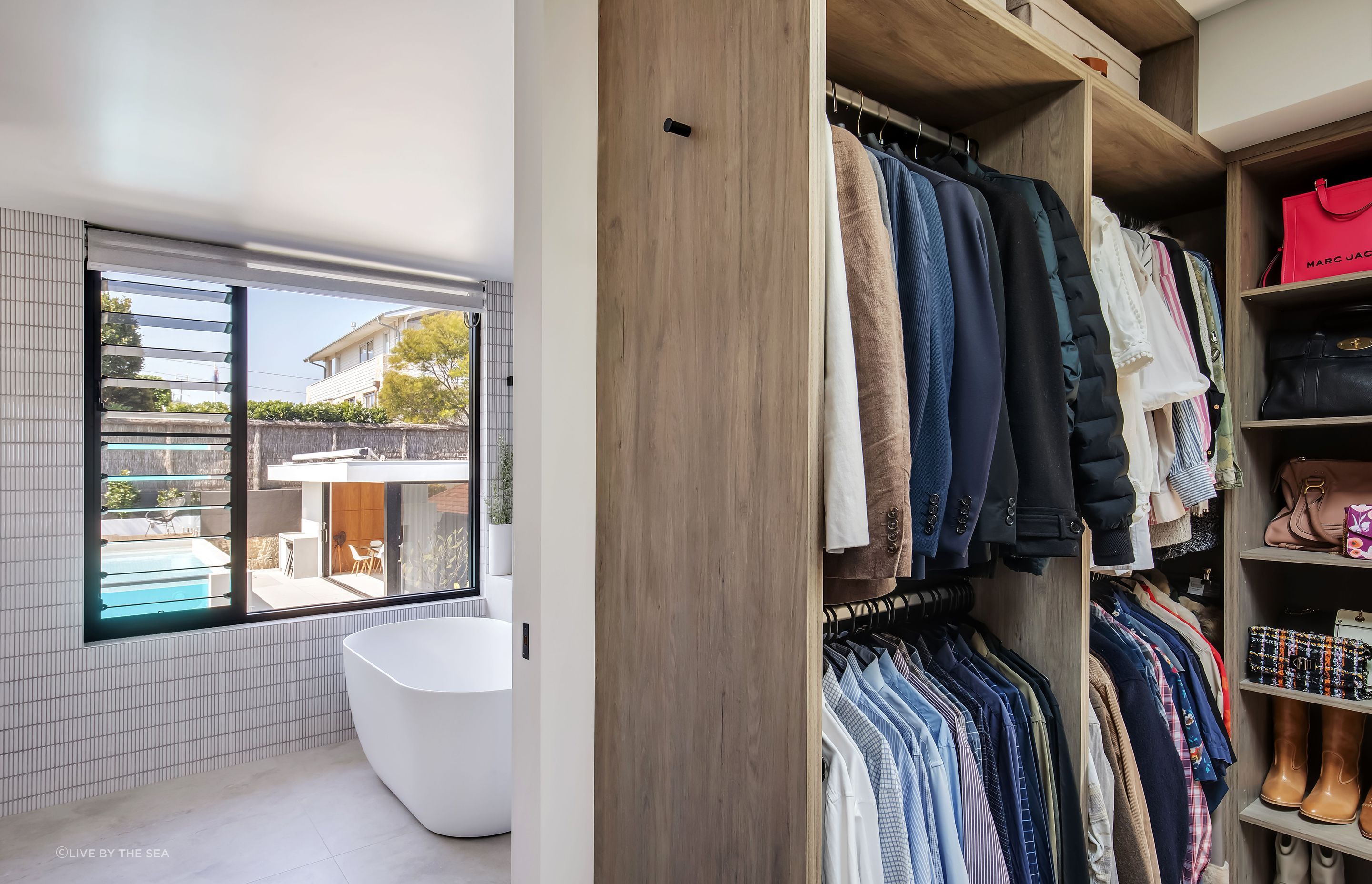 freshwatercollaroy043.jpg
