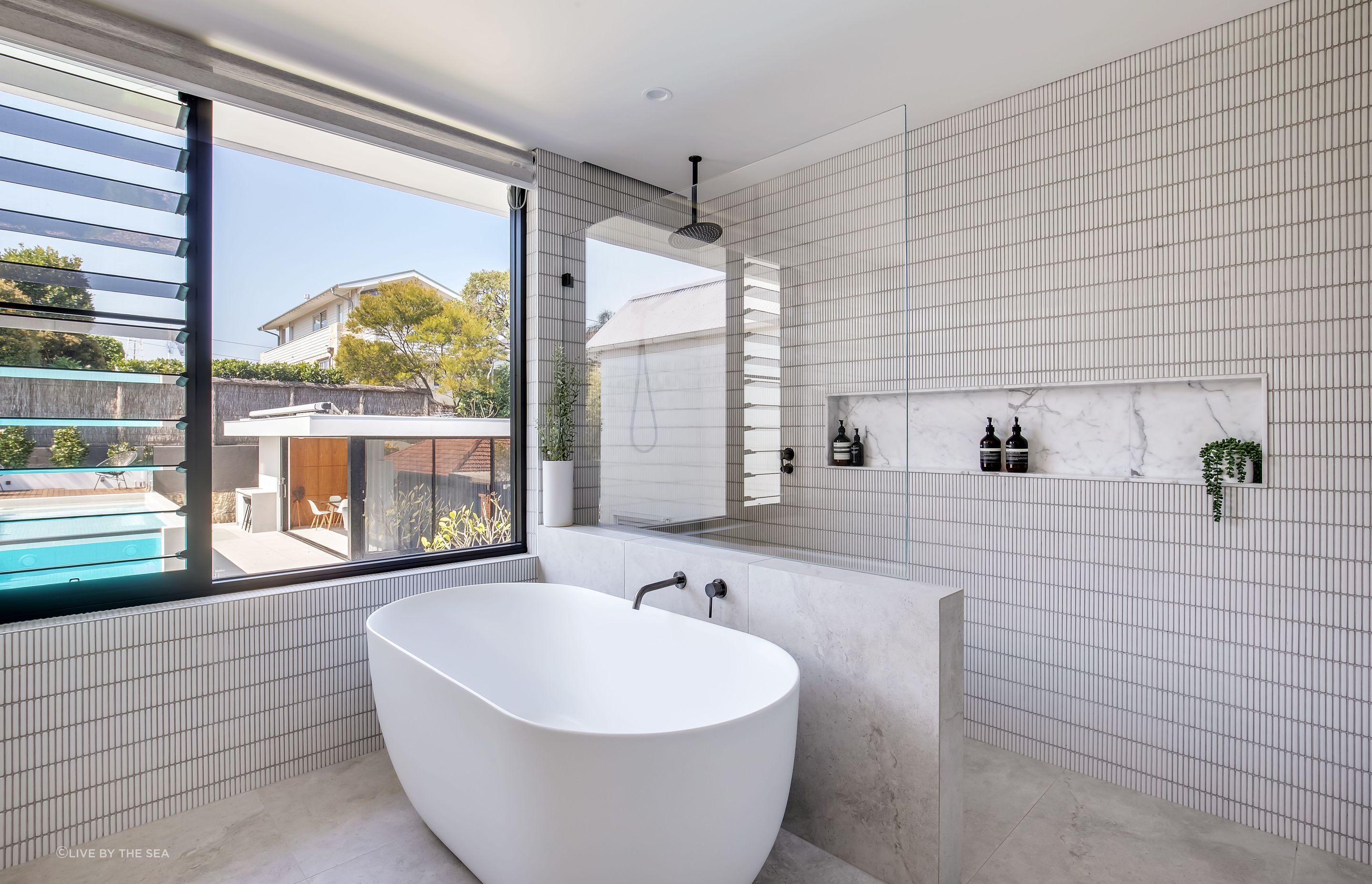 freshwatercollaroy044.jpg