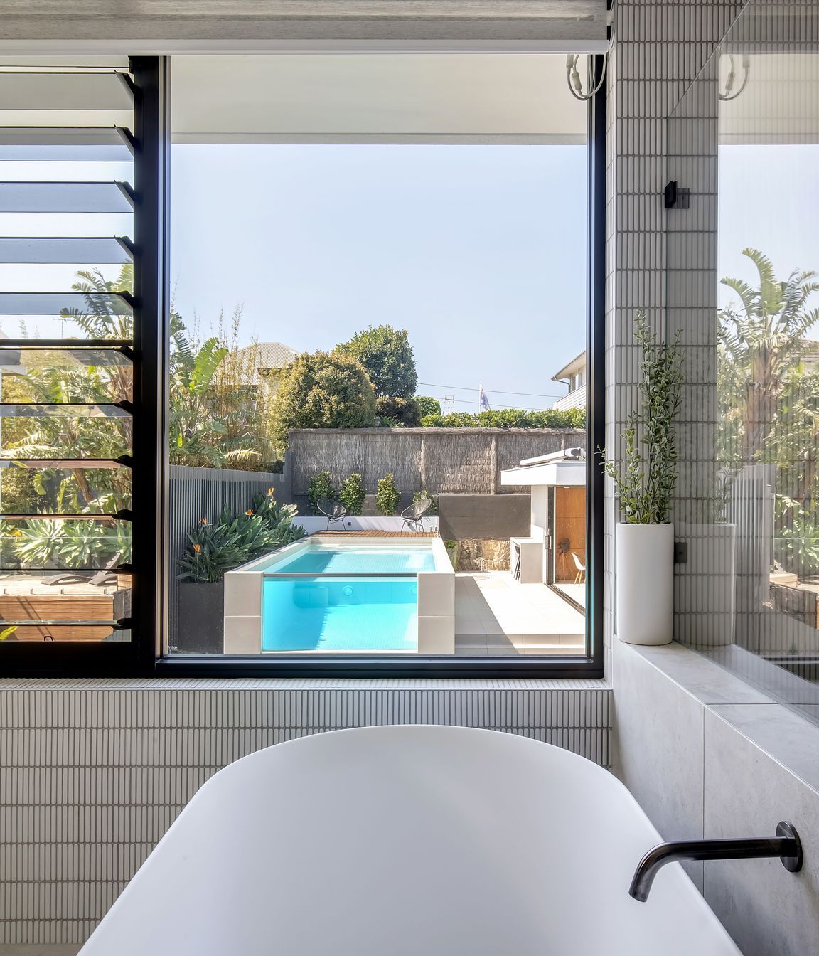 freshwatercollaroy045.jpg