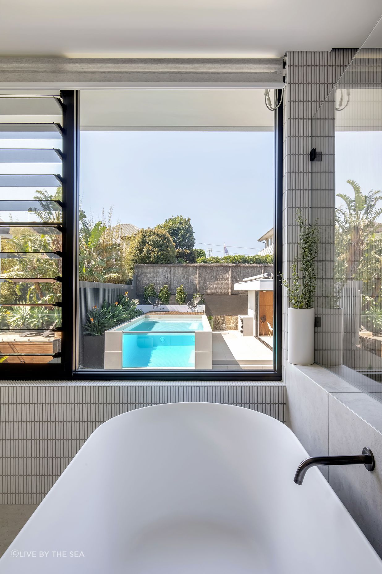 freshwatercollaroy045.jpg