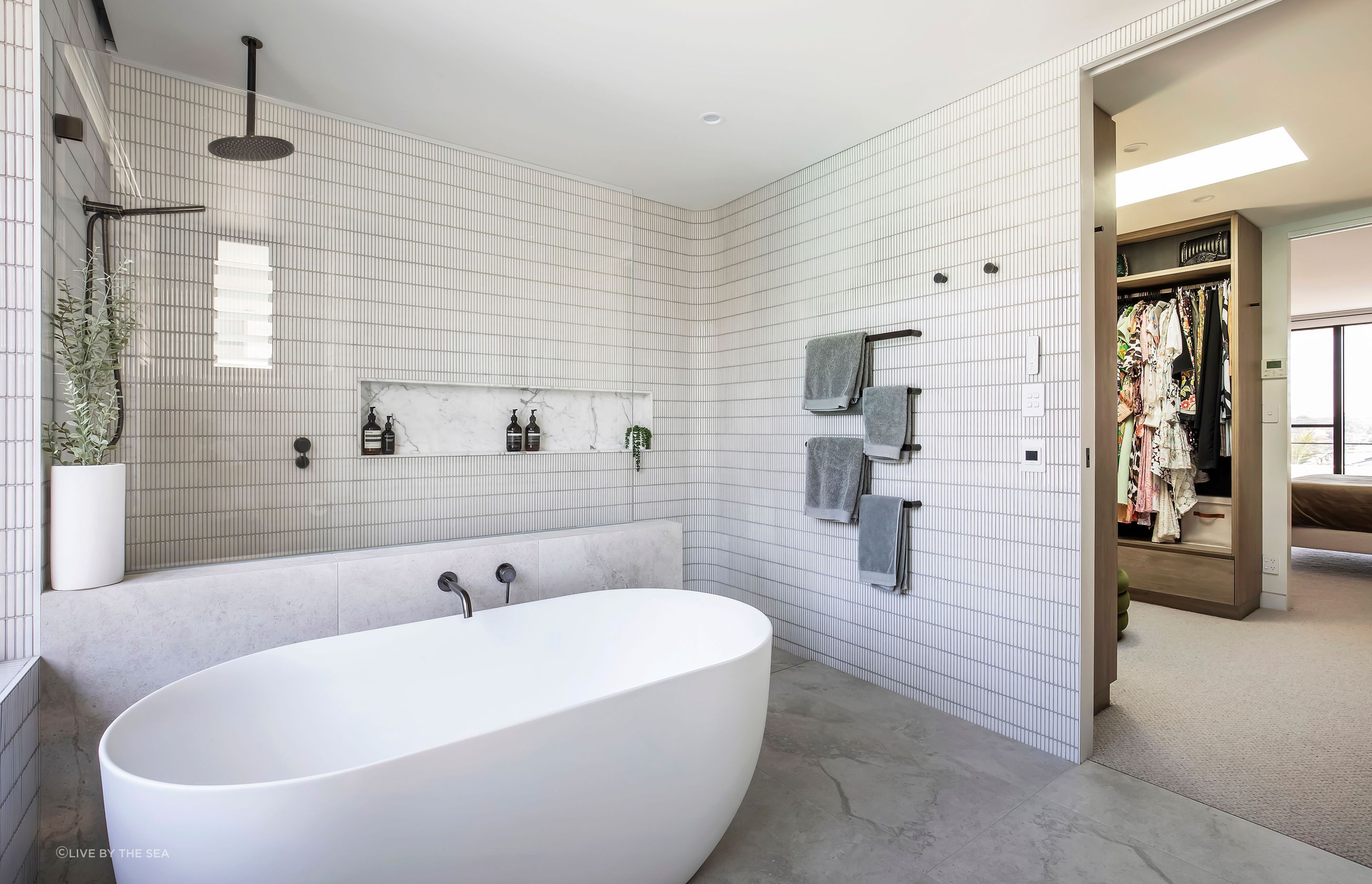 freshwatercollaroy048.jpg