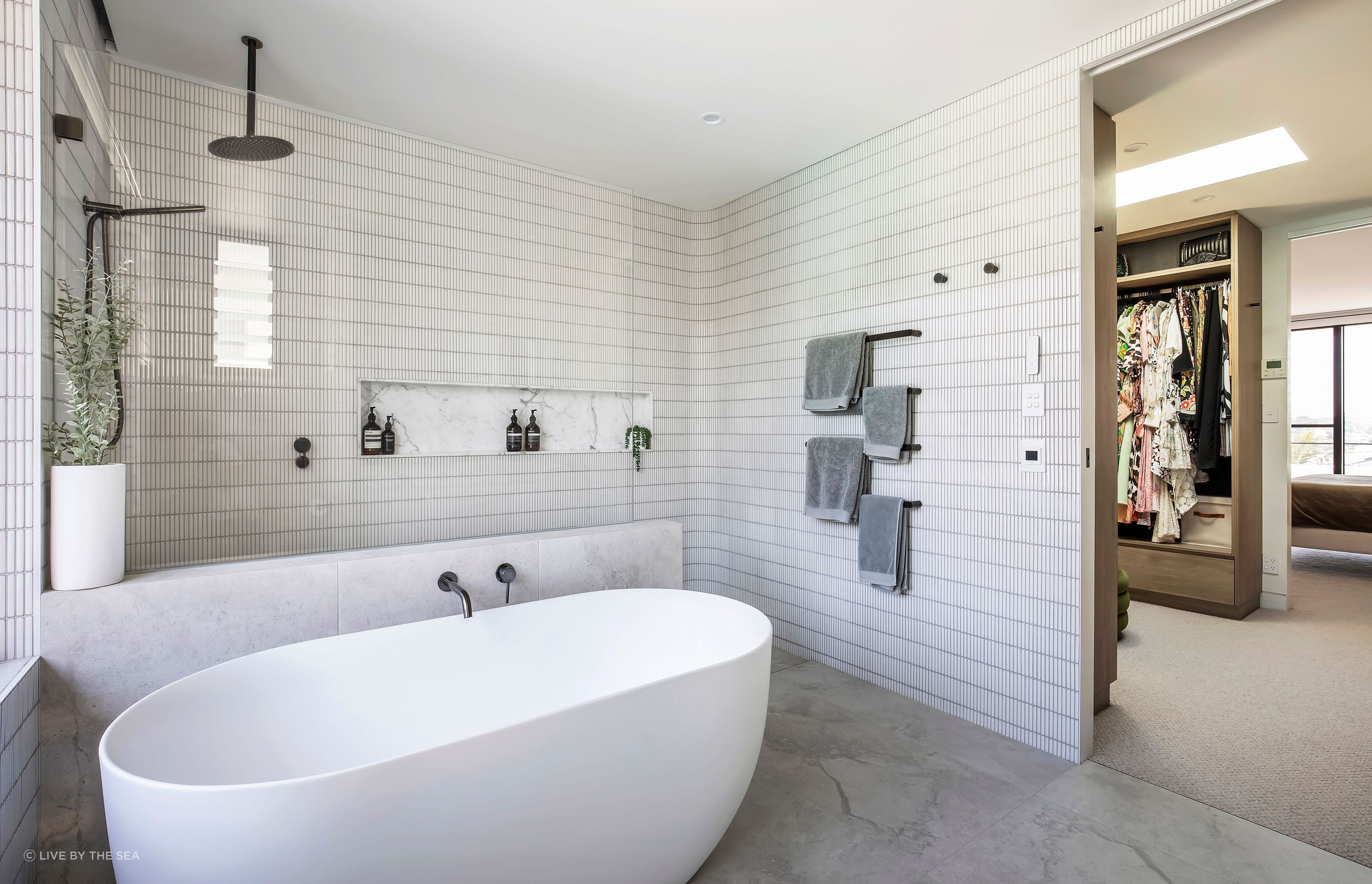 freshwatercollaroy048.jpg