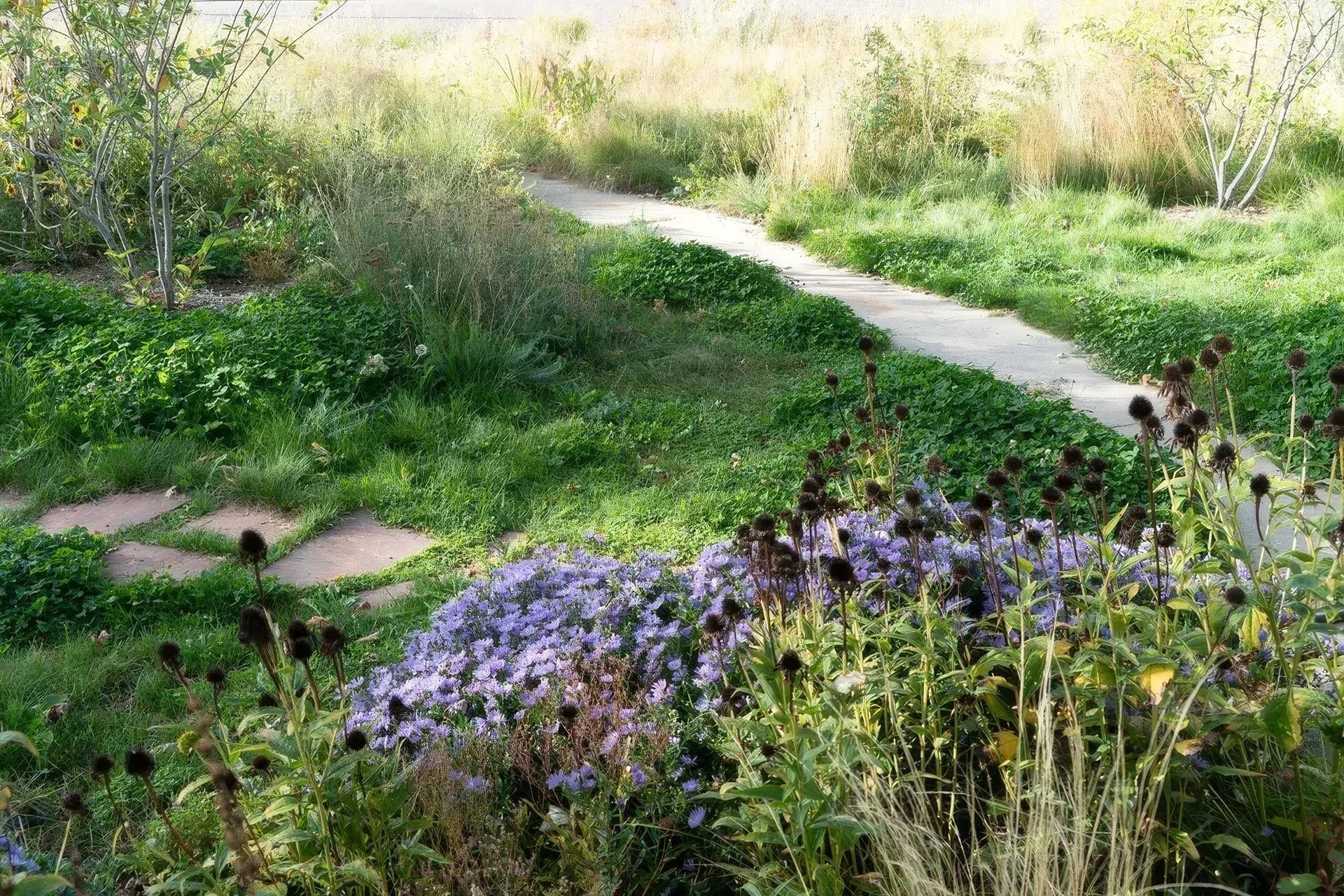 imgi107StudioCampo-JuniperFarmstead-Sept2025-23-ap-compressed-upscaled-by-Replicate.jpg