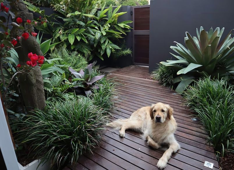 Landscape Design Clovelly