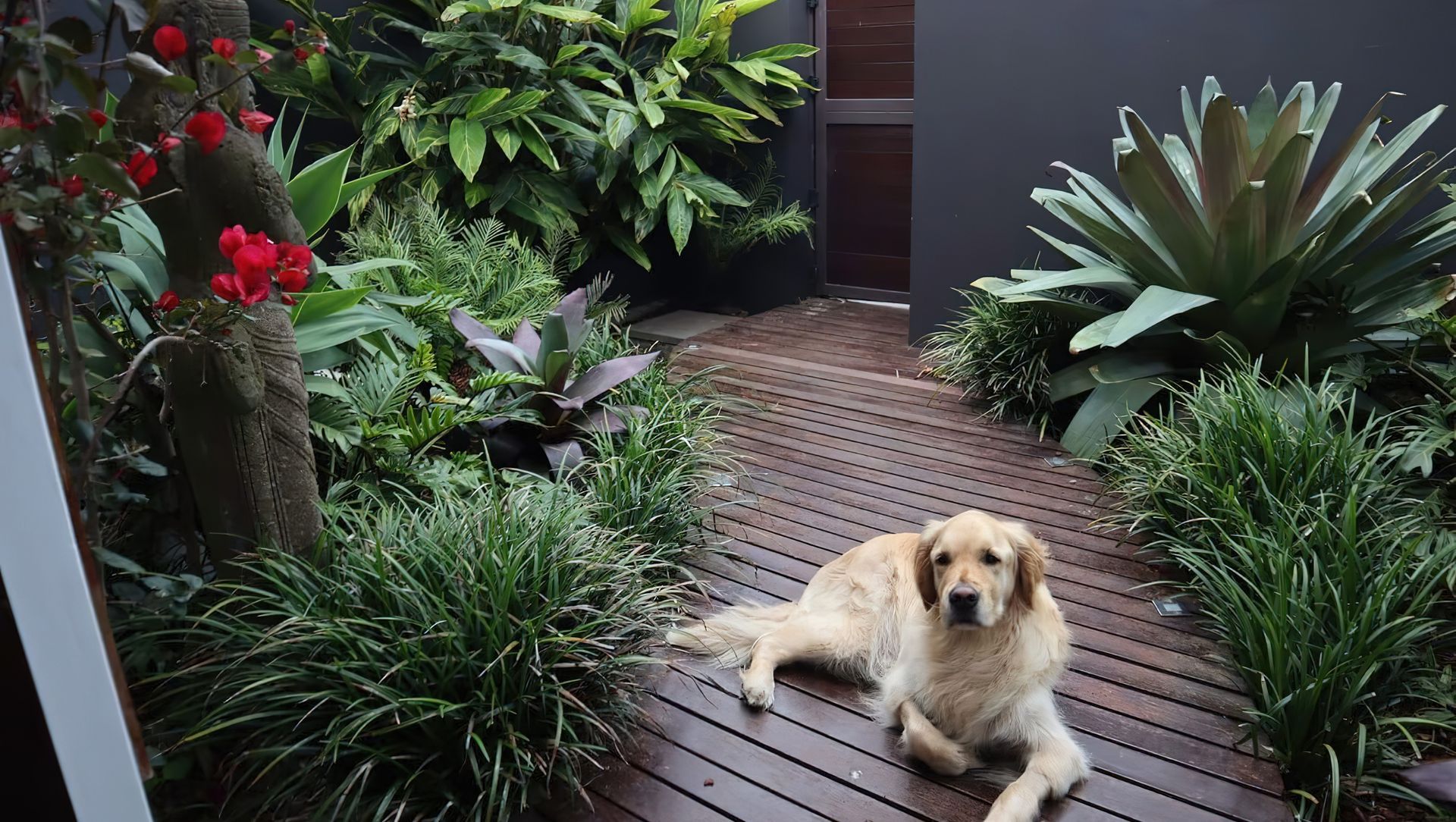 Landscape Design Clovelly banner