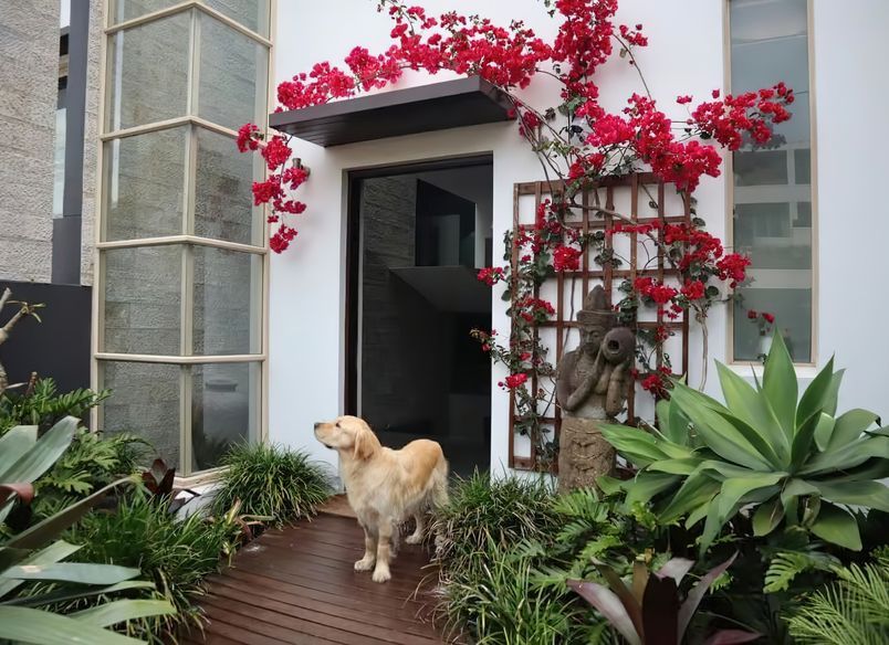 Landscape Design Clovelly