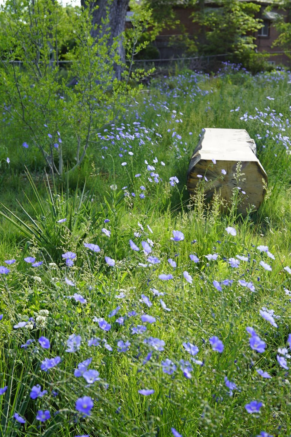 imgi174StudioCampo-Juniper-Spring2024-21.jpg